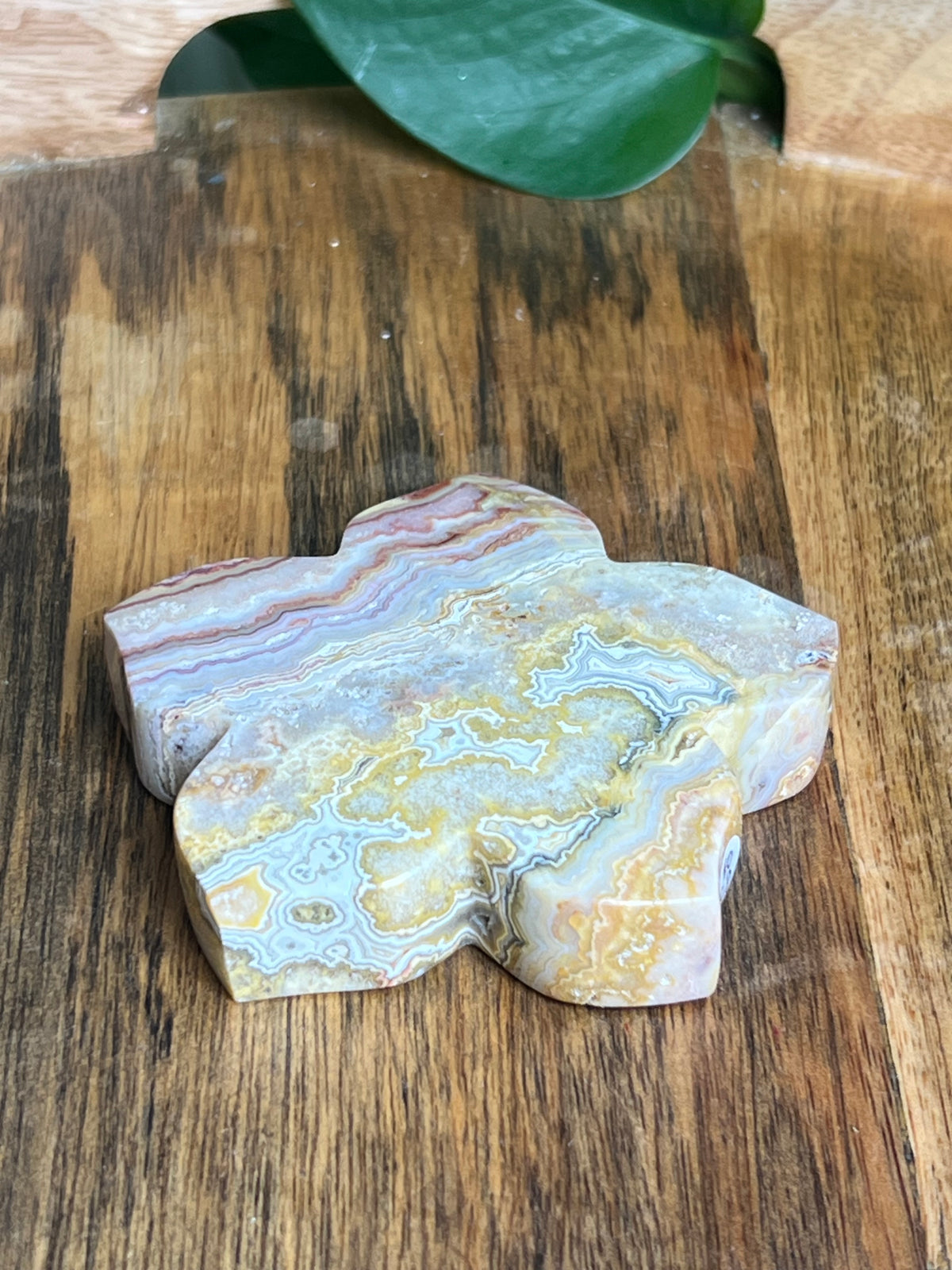 Crazy Lace Agate Flower: CD
