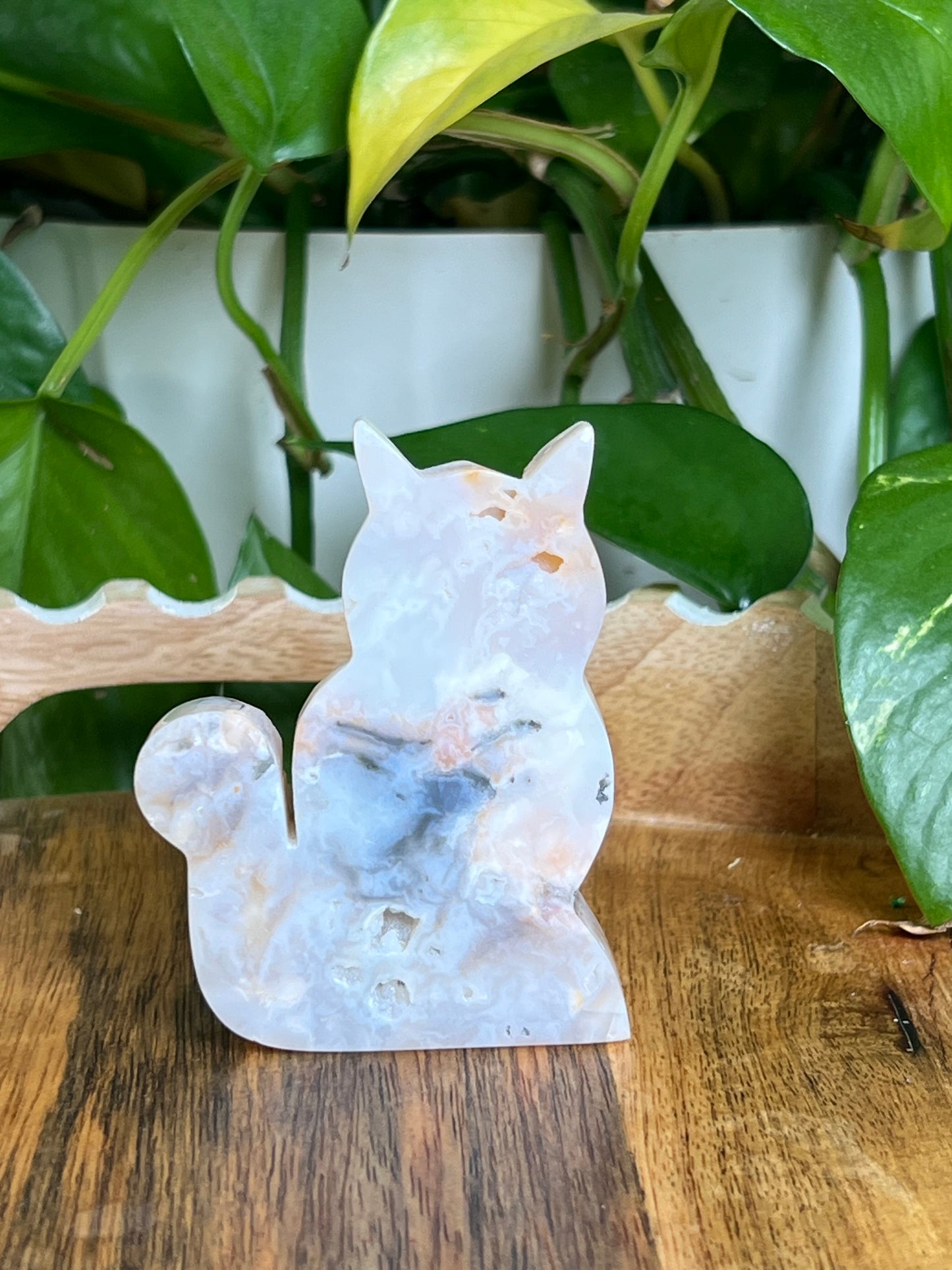 Rainbow Plume Agate Cat K