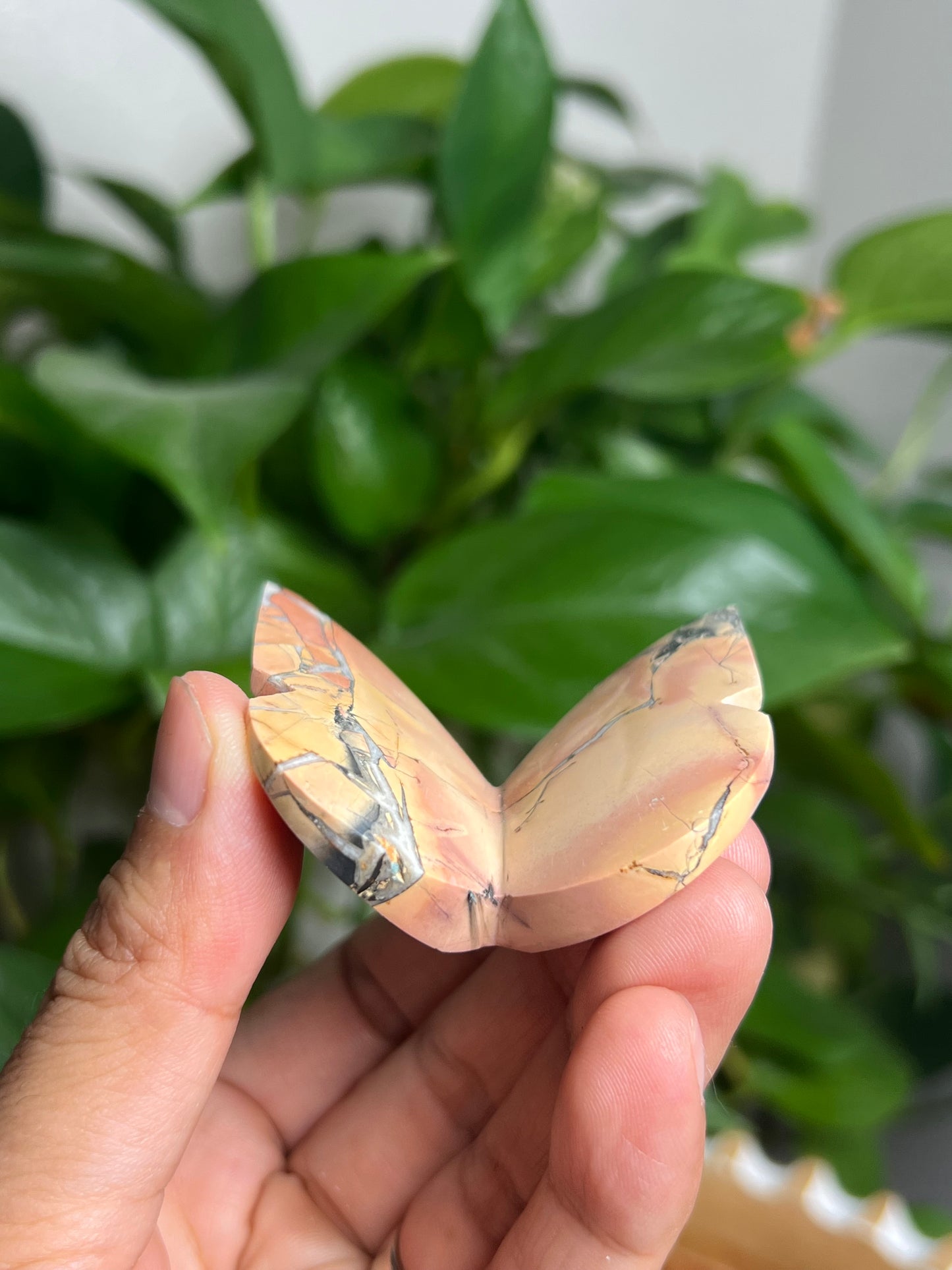 Maligano 3D Butterfly: AH
