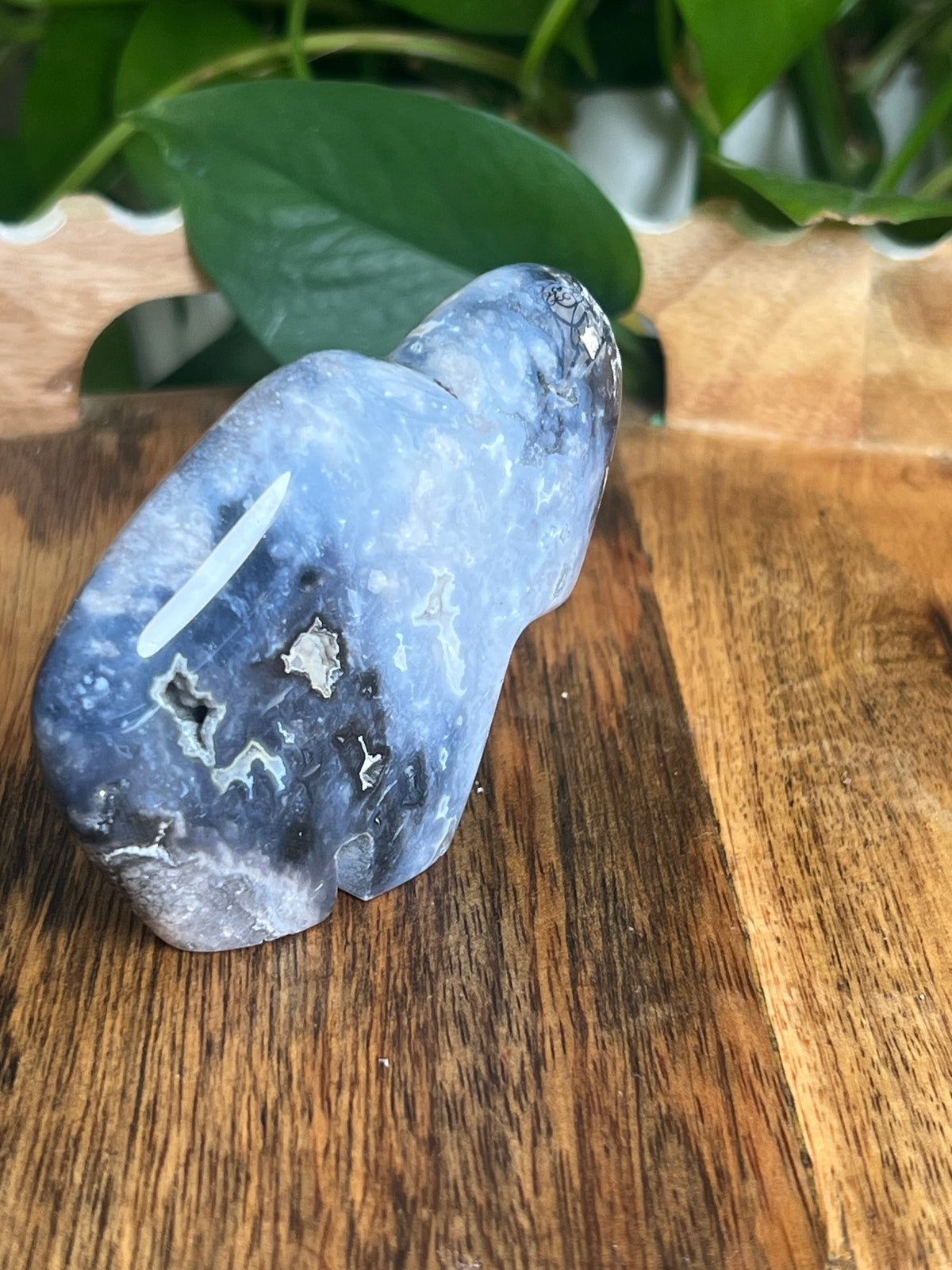 Blue Plume Agate Buffalo: BN