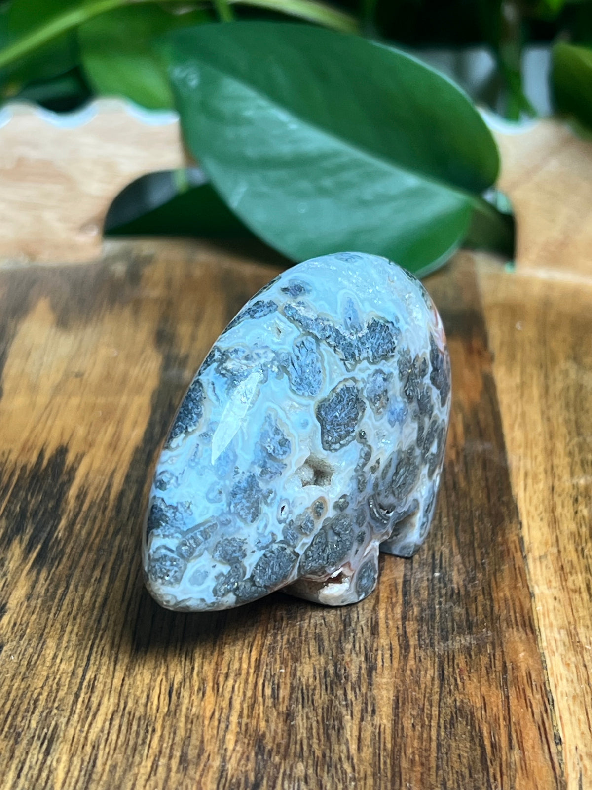 Marcasite Mini Bear: PR