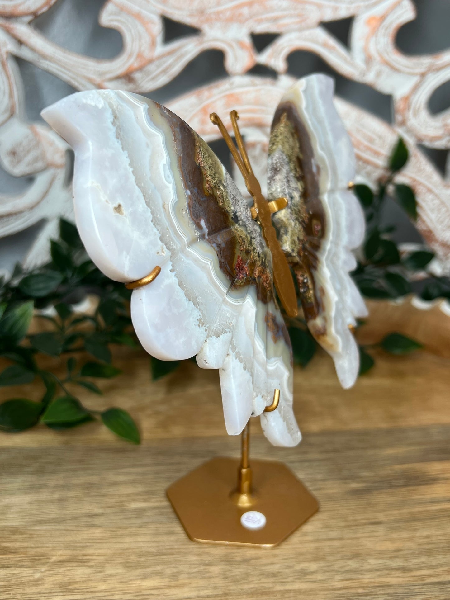 Scenic Moss Agate Wings