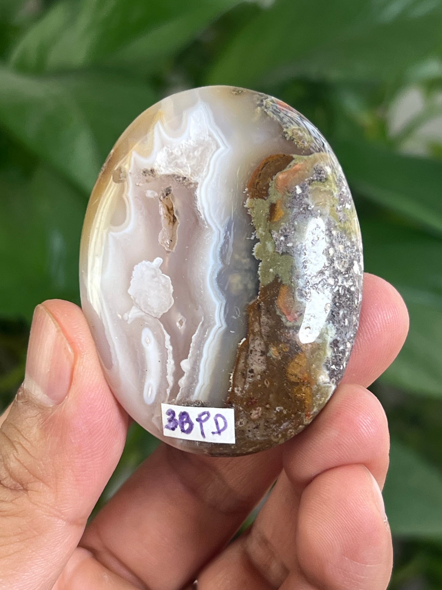 Scenic Moss Agate Palmstone: PD