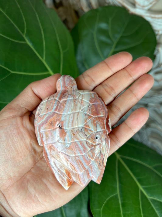Crazy Lace Agate Turtle