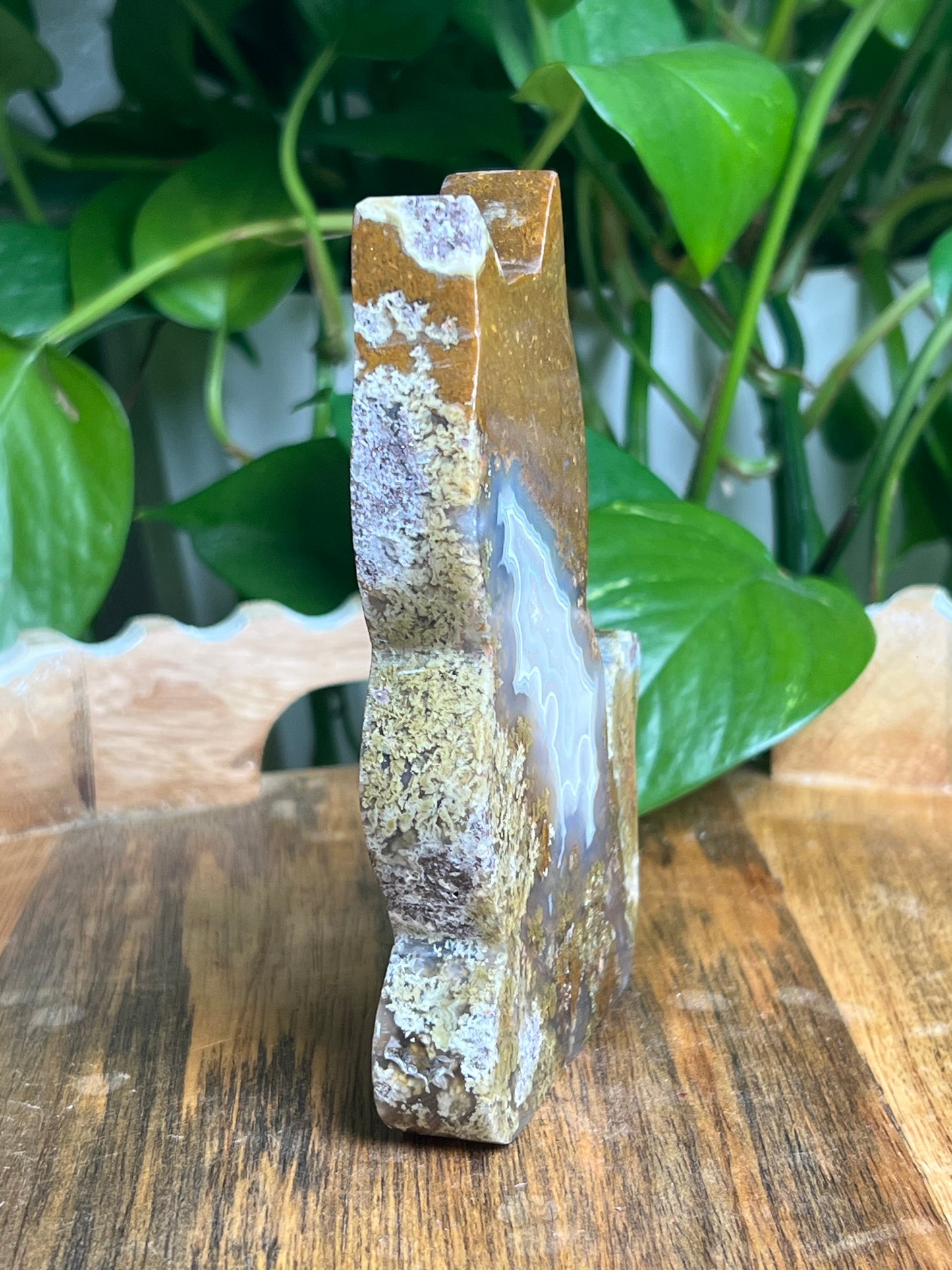 Scenic Moss Agate Cat: AB