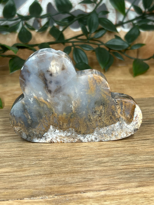 Dendritic Tiger Agate Cloud