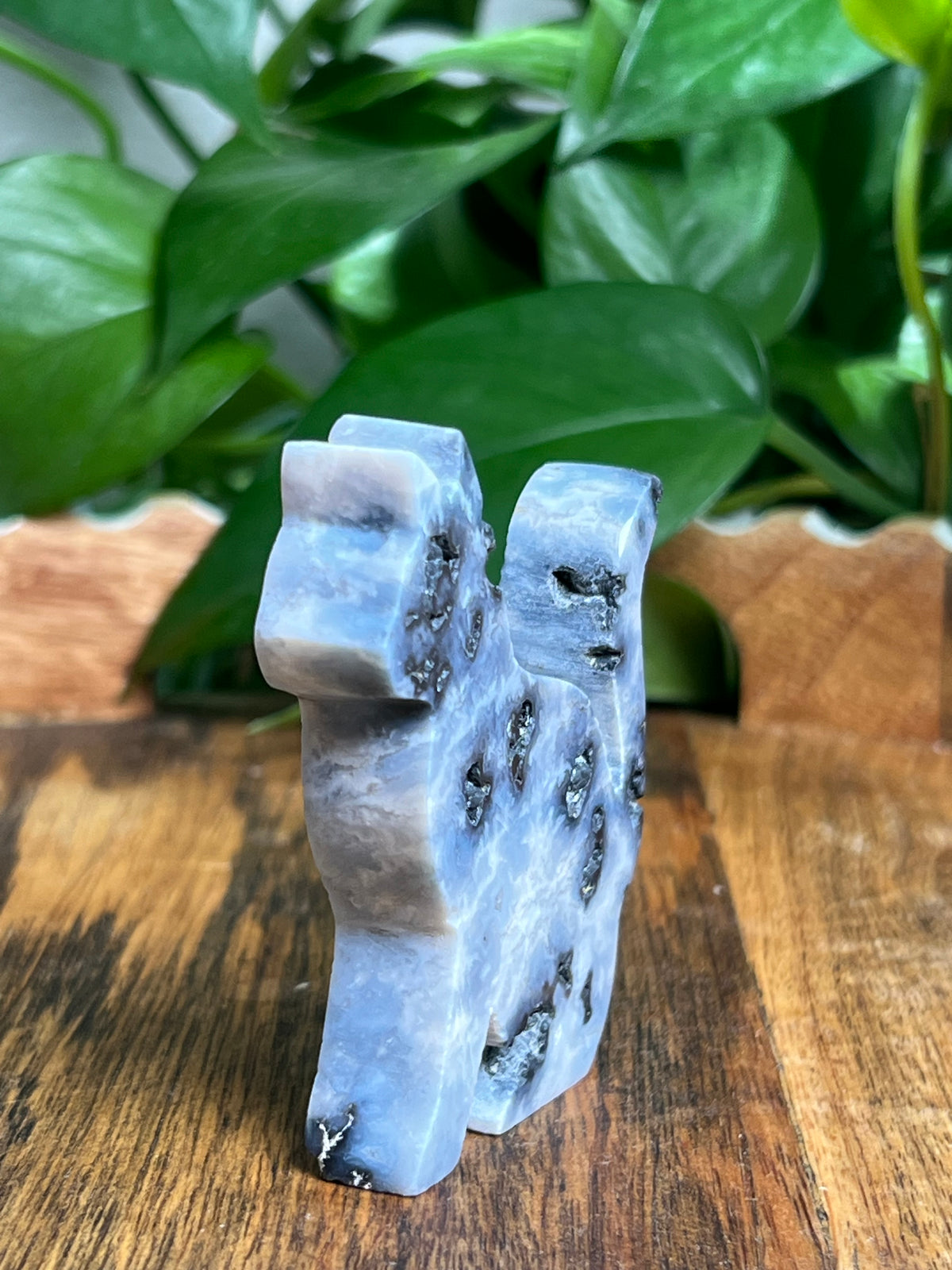 Blue Plume Agate Cat: LC