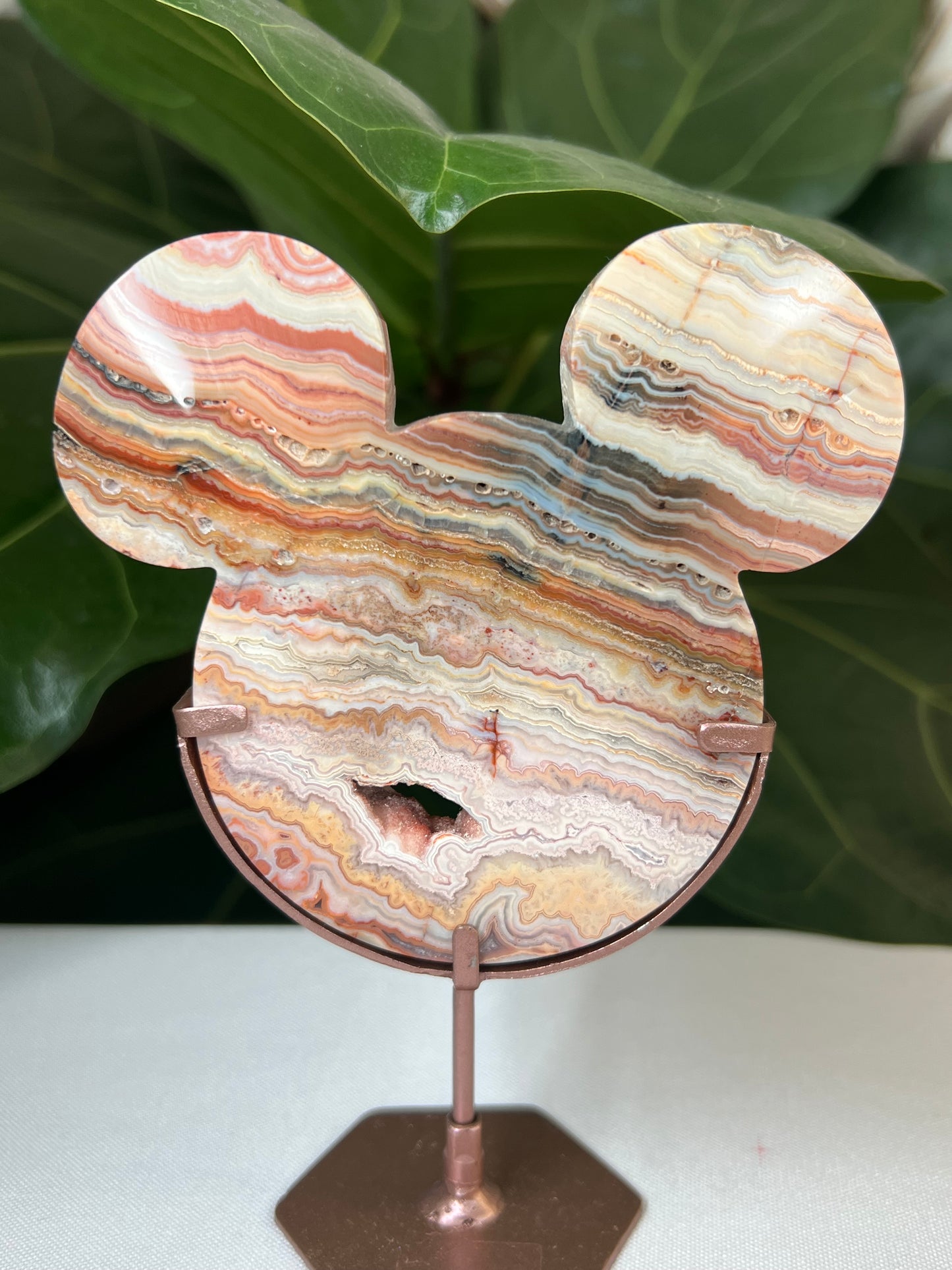 Crazy Lace Agate Bear Head