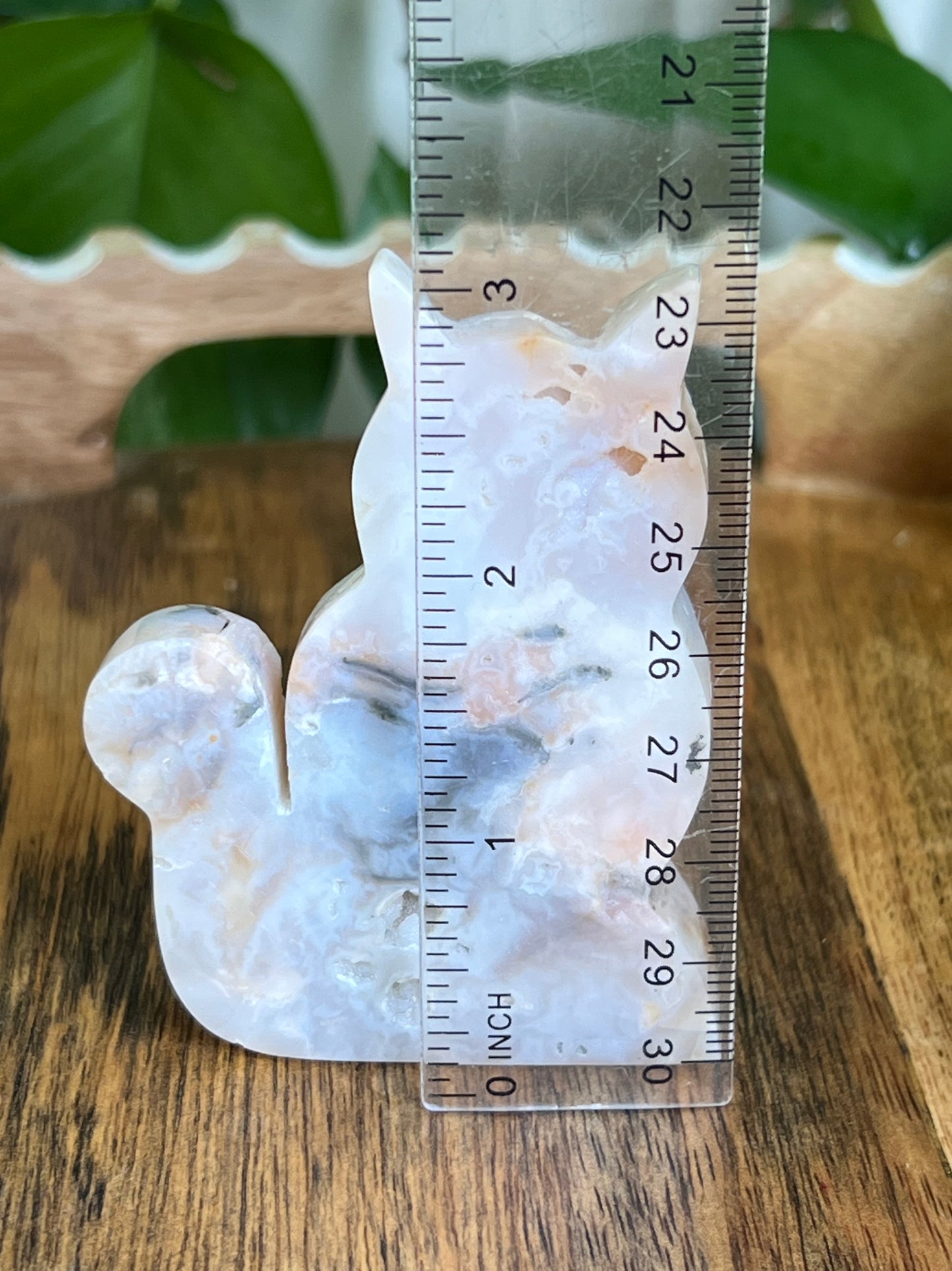 Rainbow Plume Agate Cat K