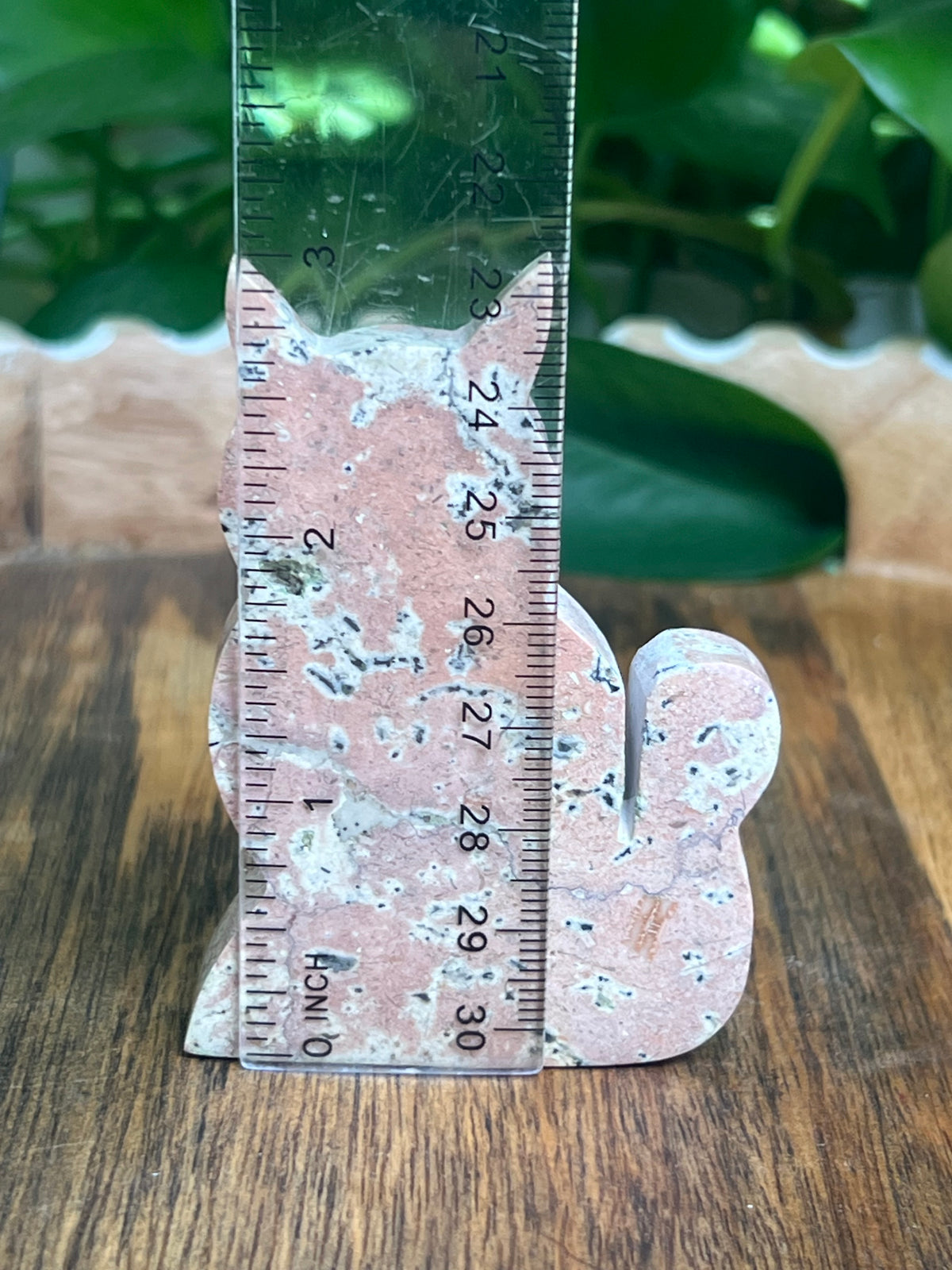 Dendritic Jasper Cat: AK