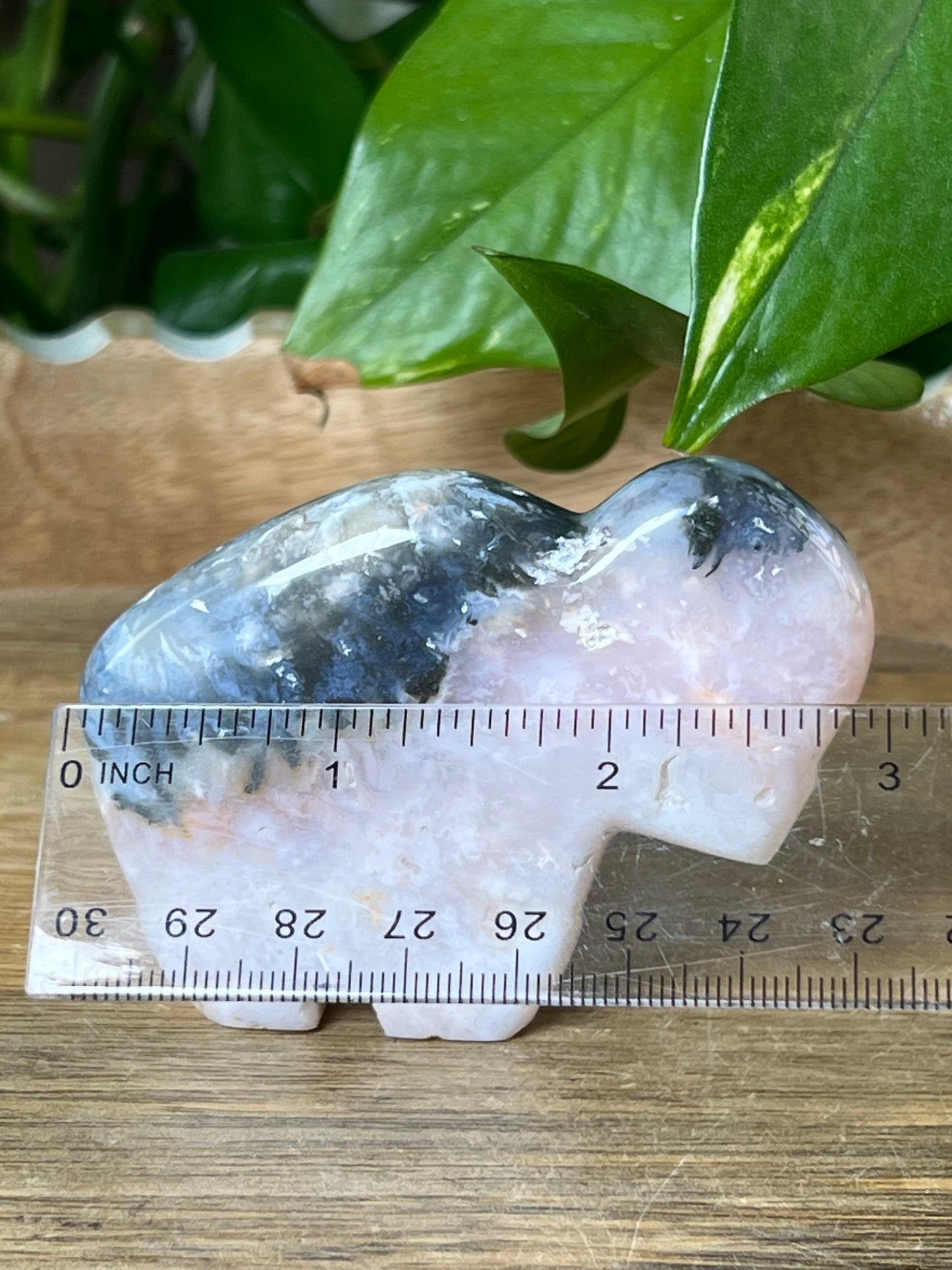 Rainbow Plume Agate Buffalo