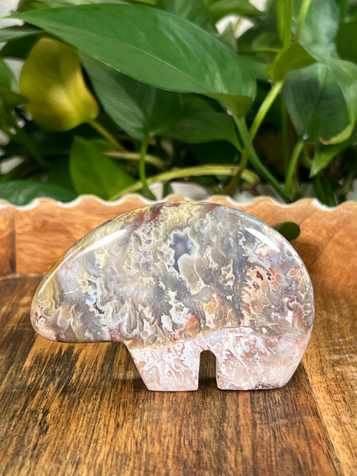 Sumatra Plume Agate Bears