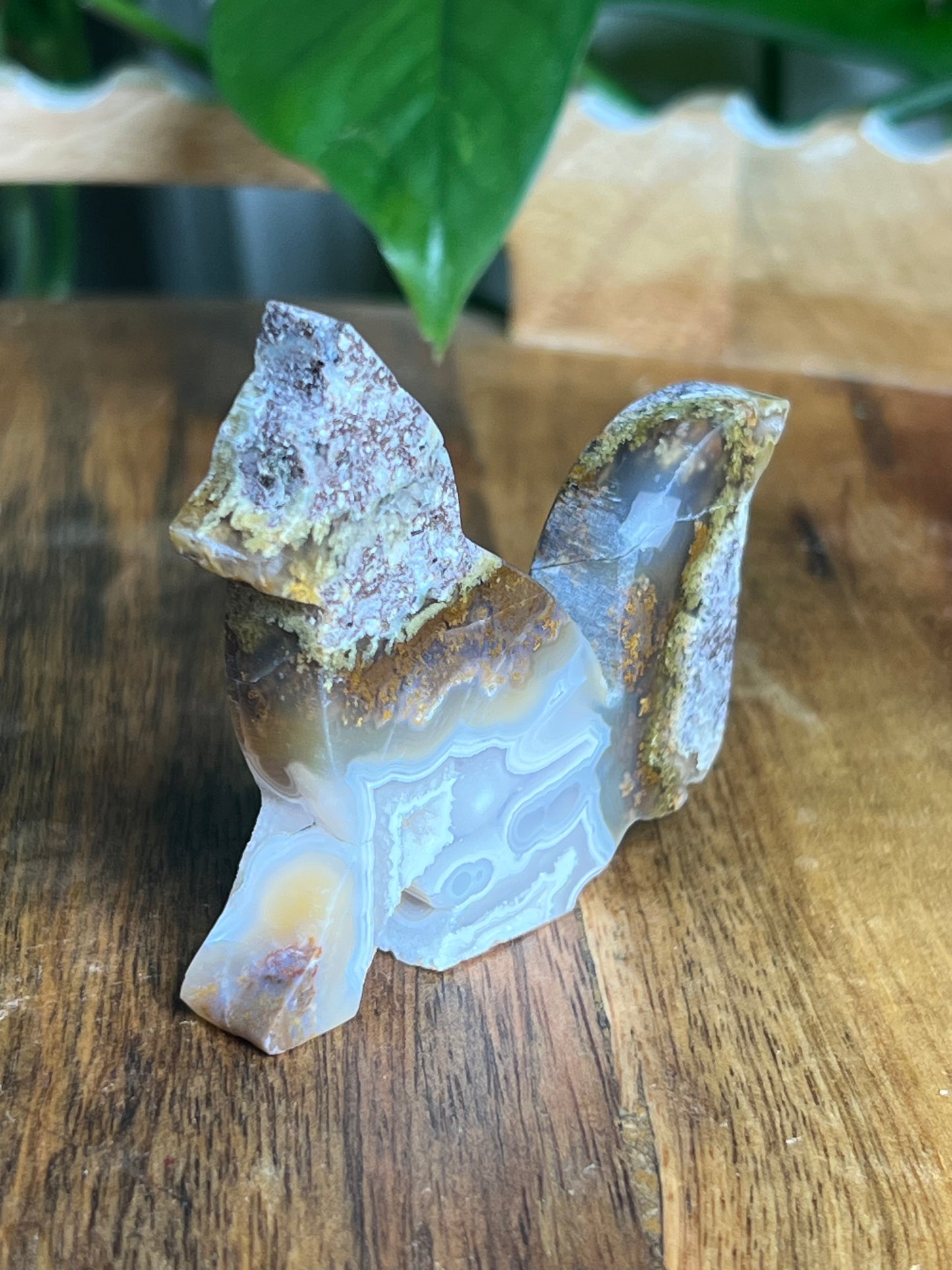 Scenic Moss Agate Fox PX