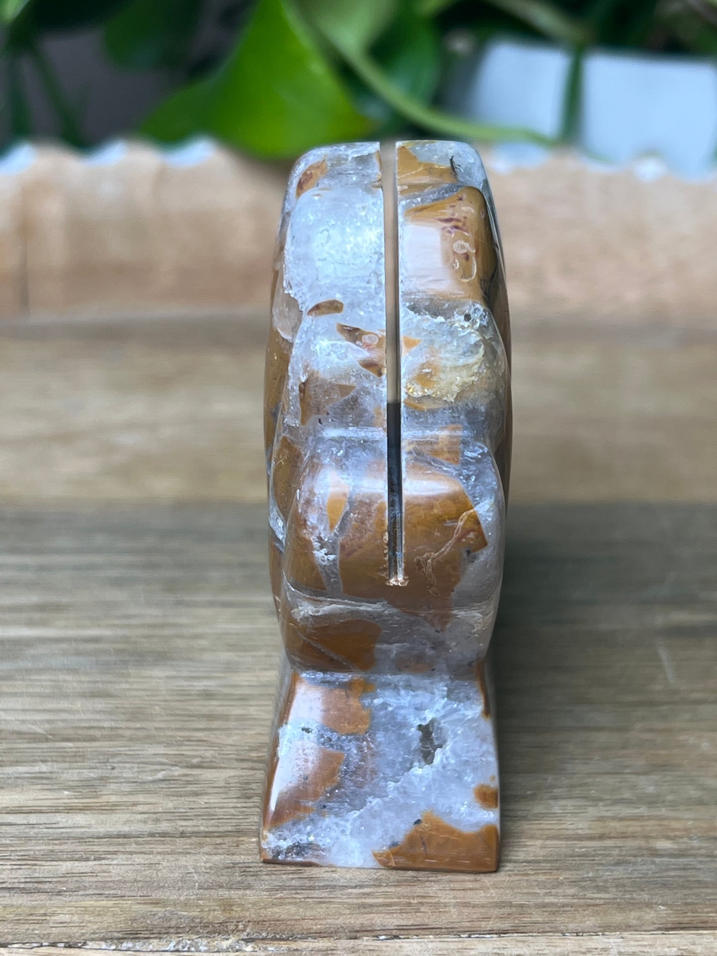 Brecciated Jasper Shell