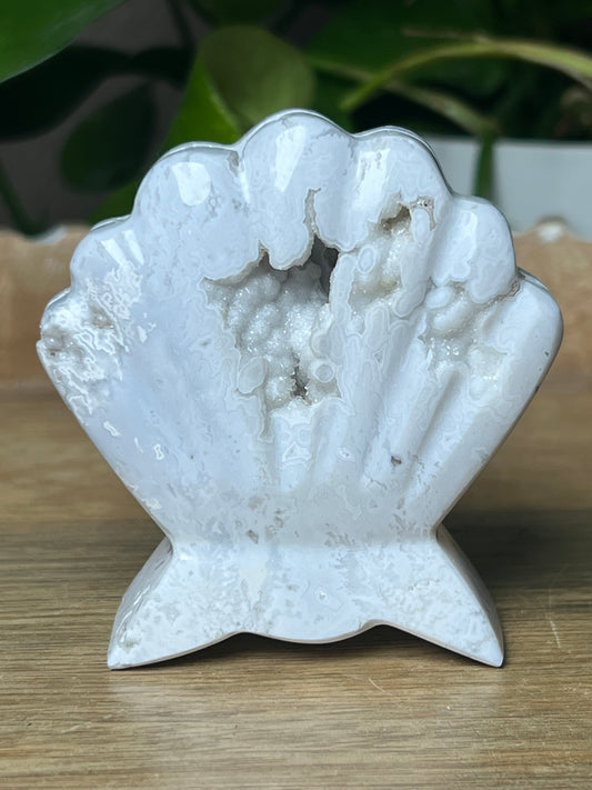 White Plume Agate Shell