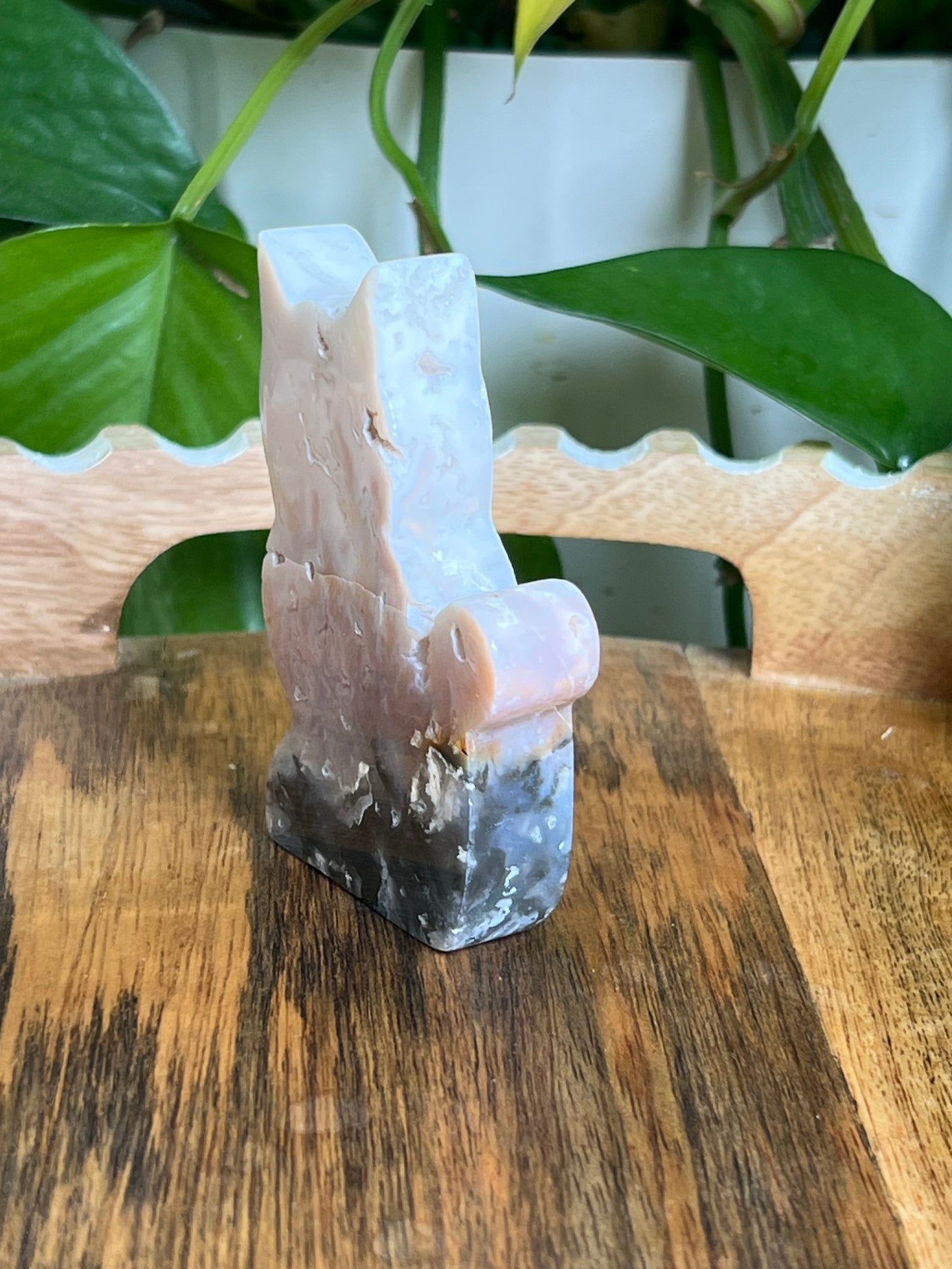 Rainbow Plume Agate Cat NX