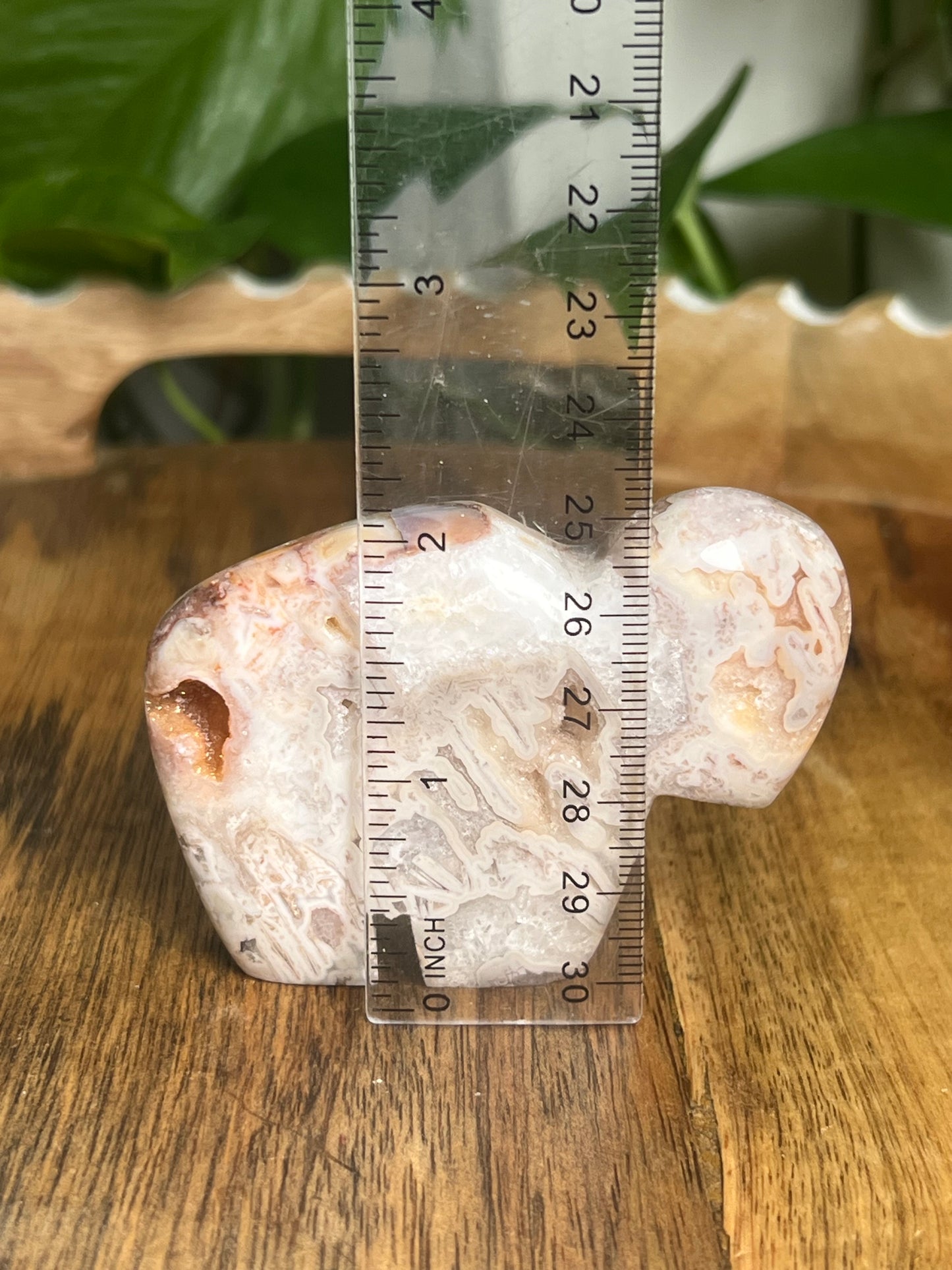 Tube Agate Buffalo KB
