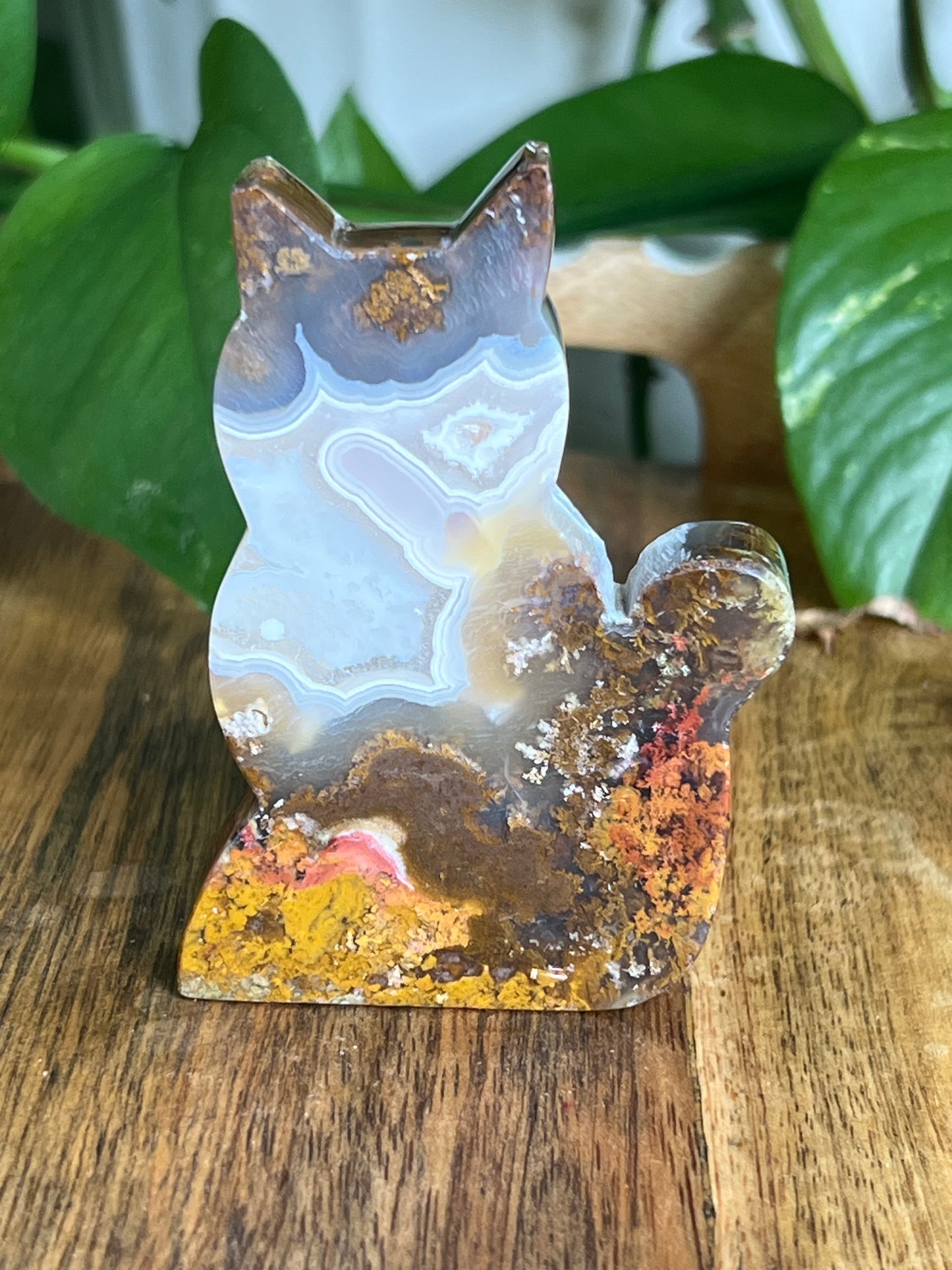 Scenic Moss Agate Cat HY