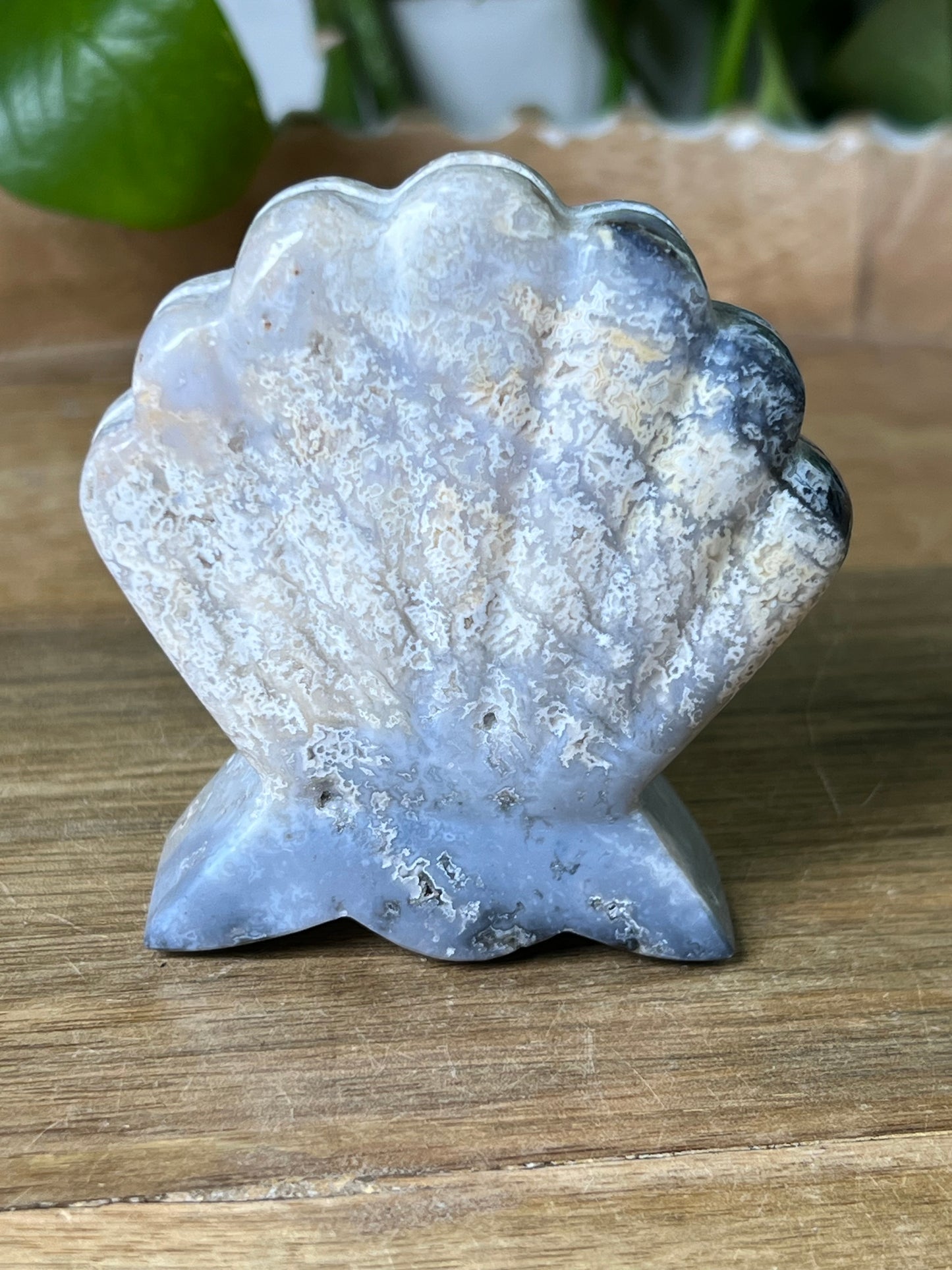 Blue Plume Agate Shell