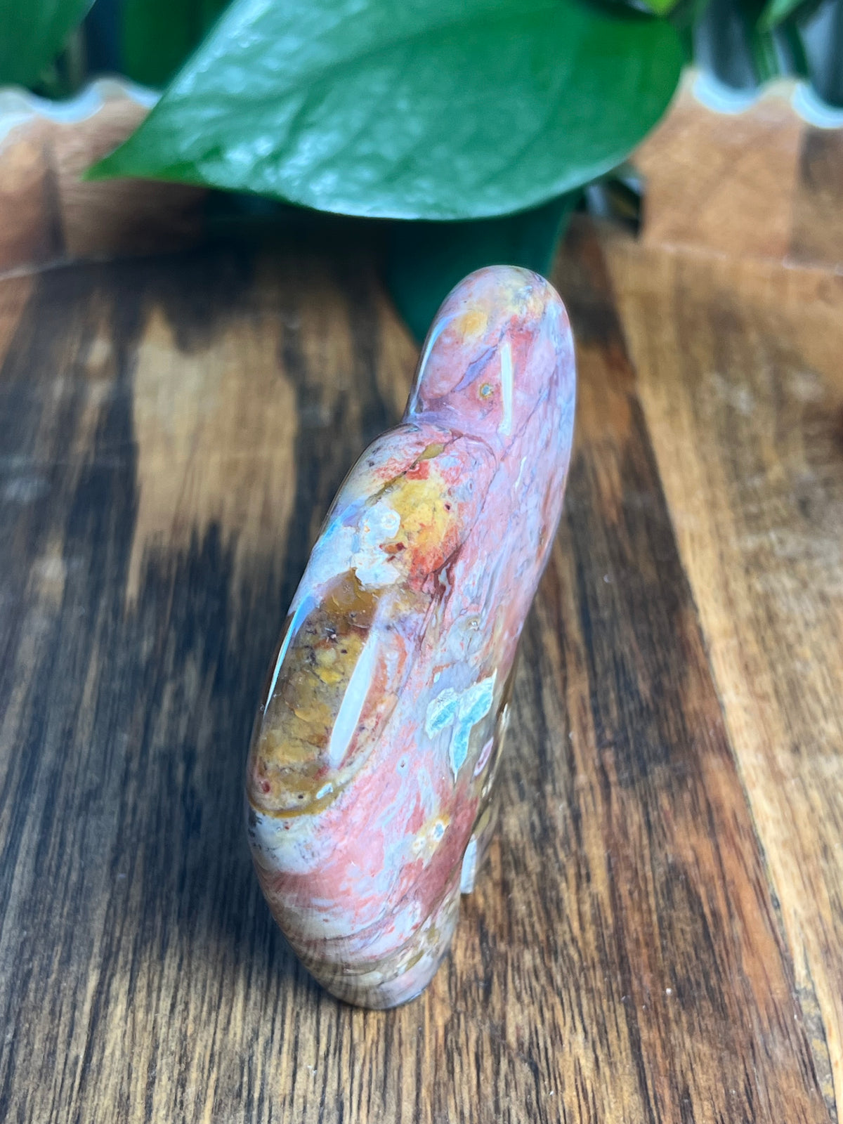 River Jasper Buffalo: RS