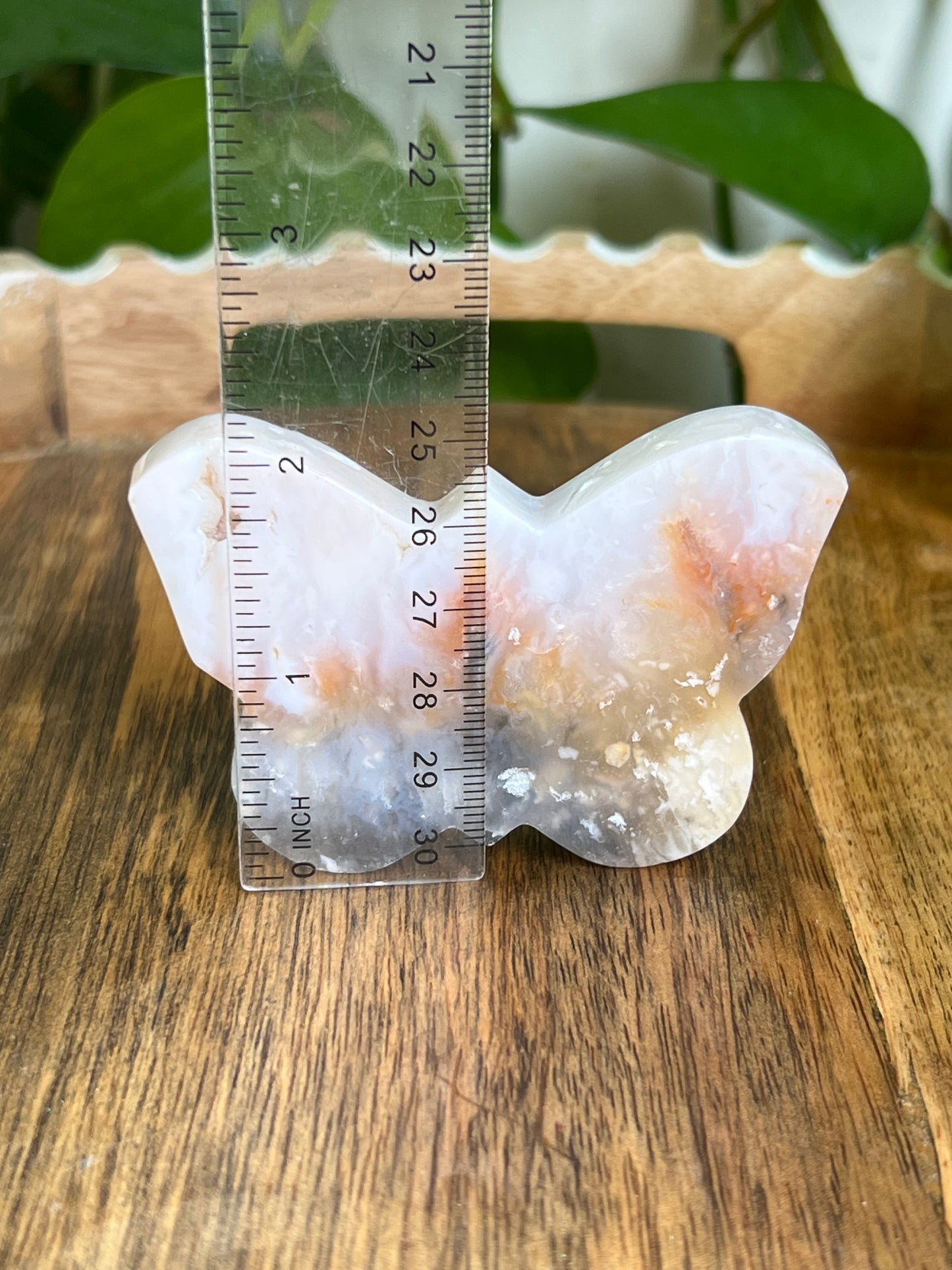 Rainbow Plume Agate Butterfly RC