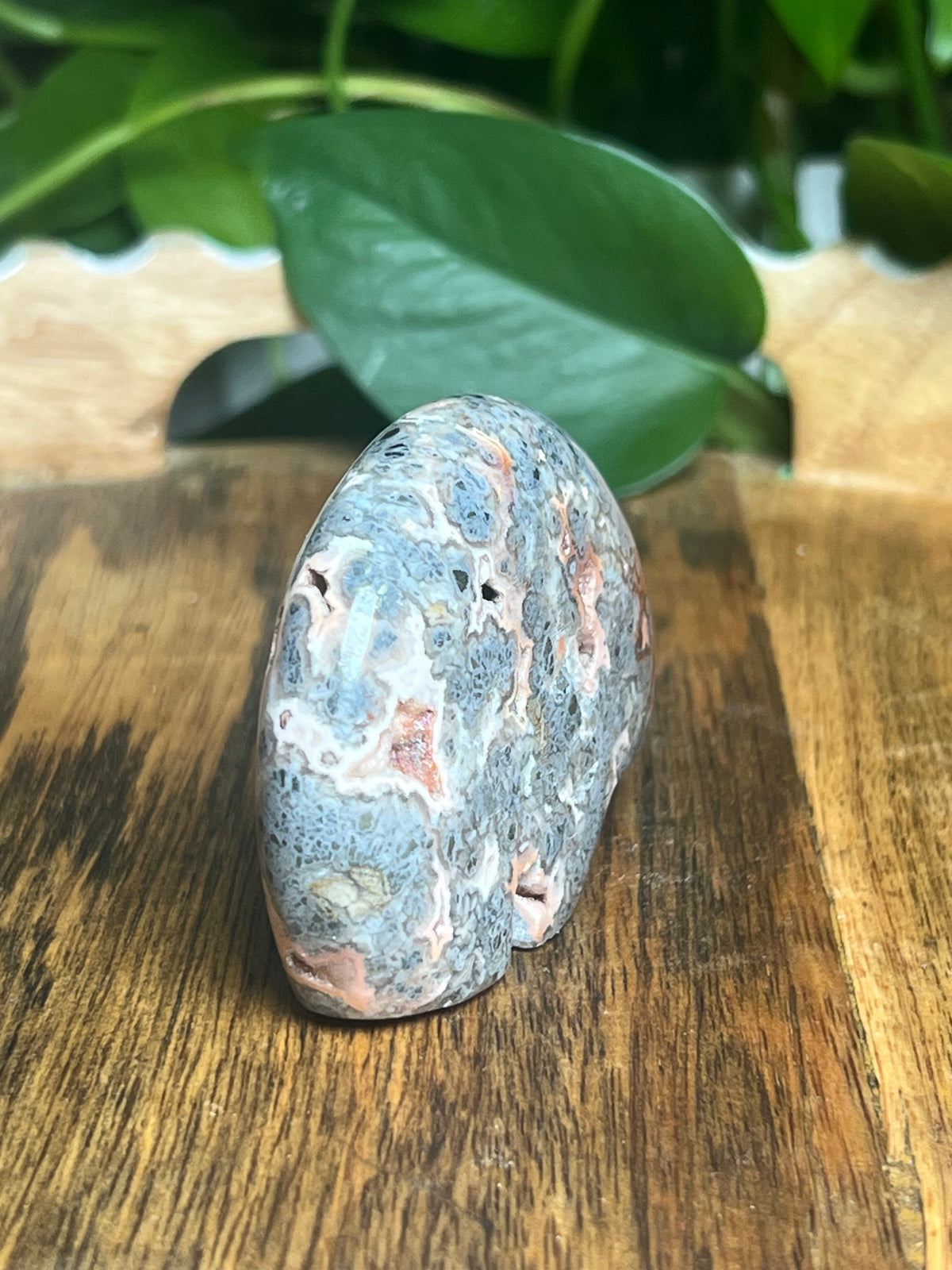Marcasite Bear: TD