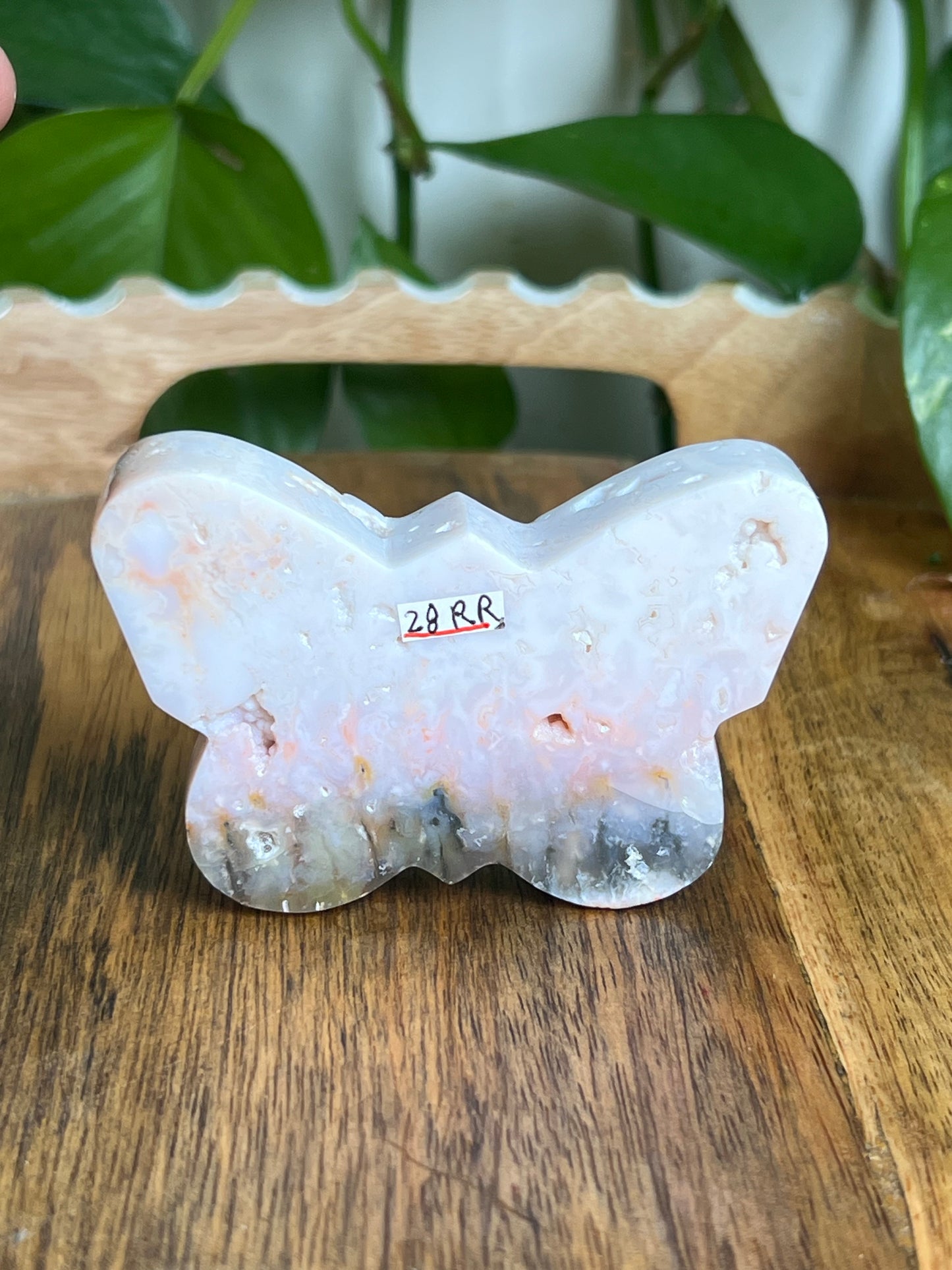 Rainbow Plume Agate Butterfly RR