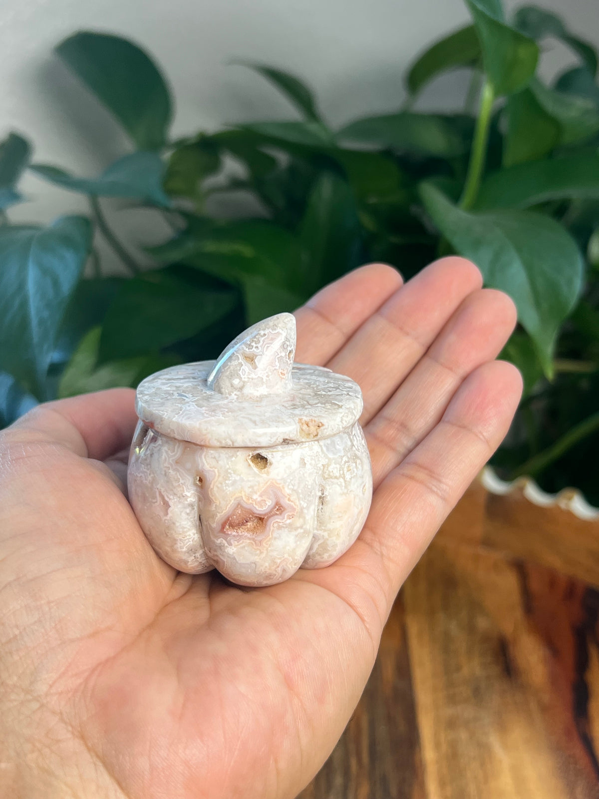 Crazy Lace Agate Pumpkin: D