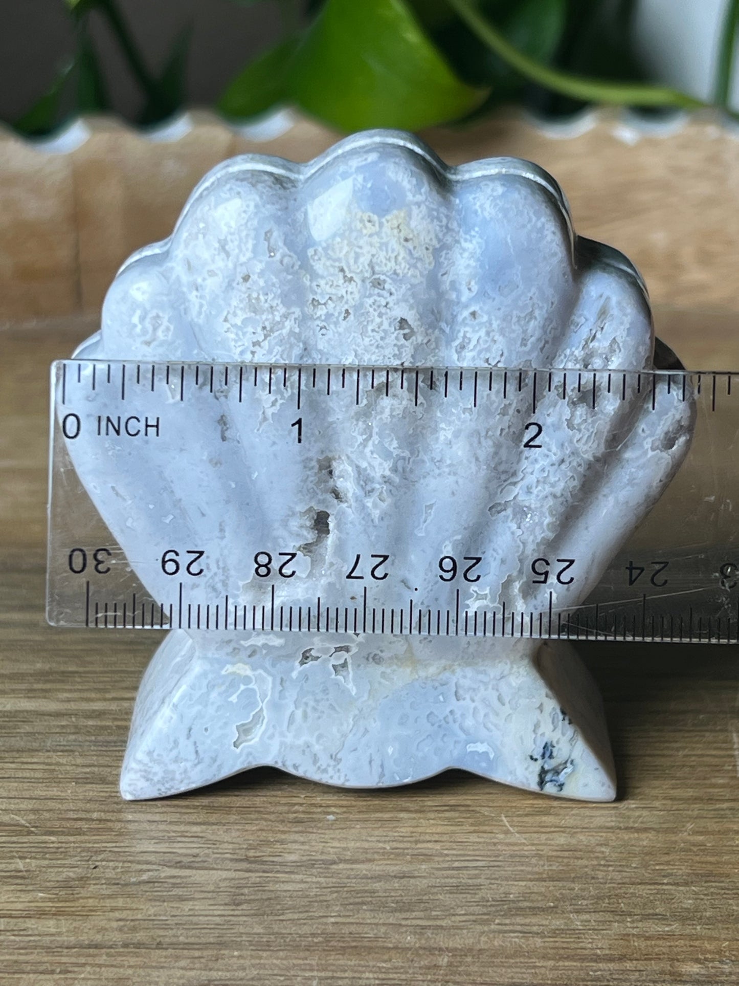 Blue Plume Agate Shell