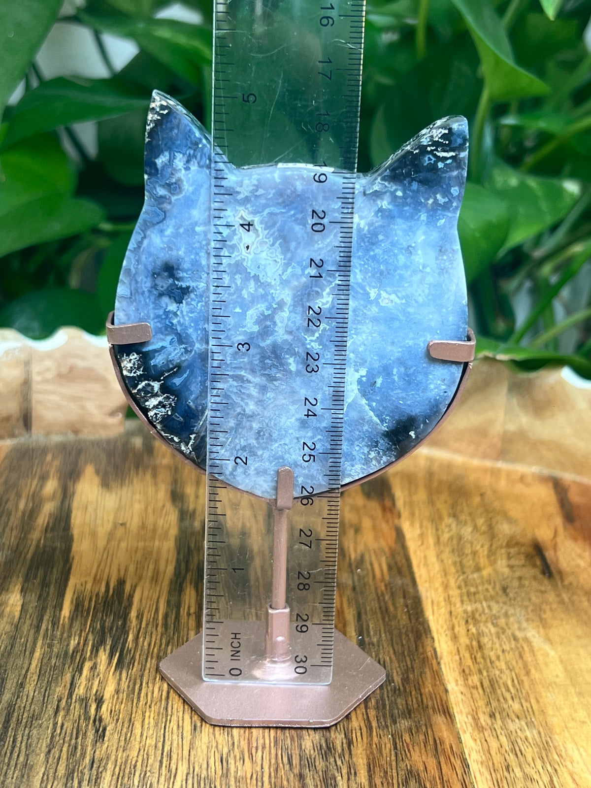 Blue Plume Agate Cat Head: NK