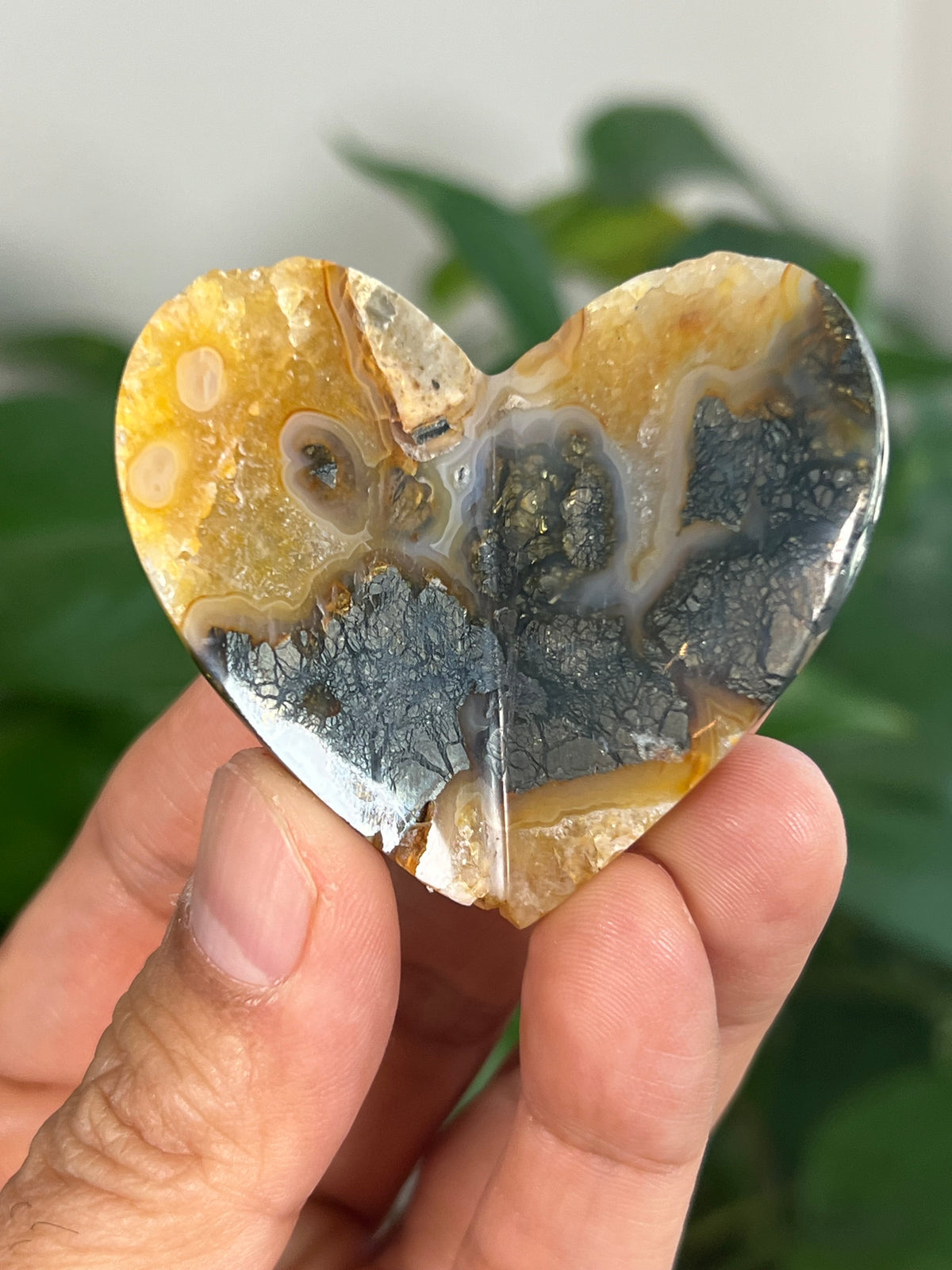 Marcasite 3D Heart Butterflies