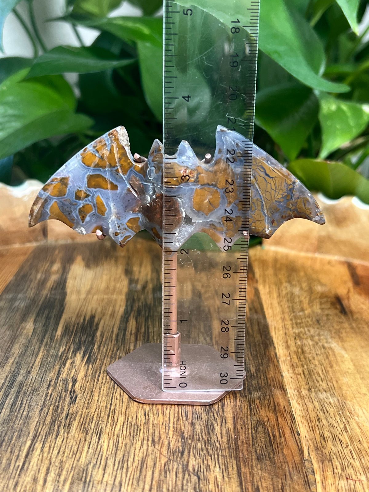 Brecciated Jasper Bat: RG