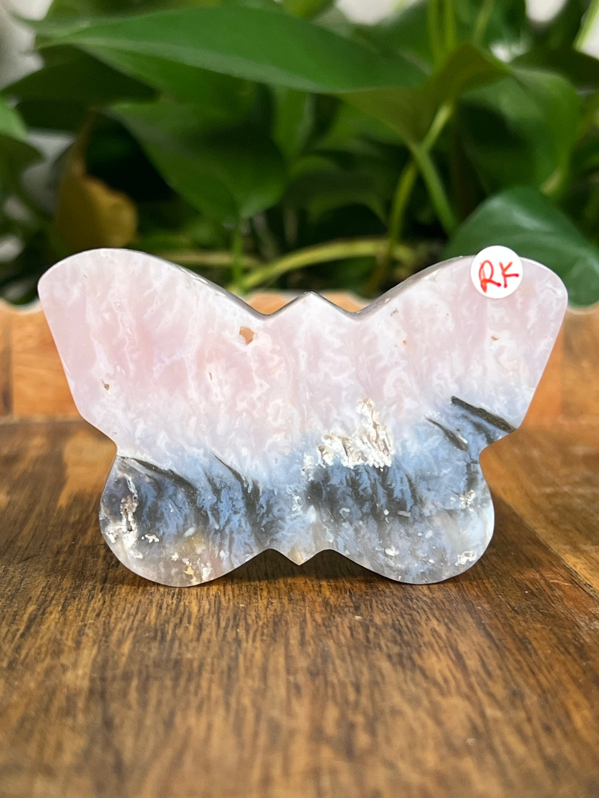 Rainbow Plume Agate Small Self Standing Butterflies