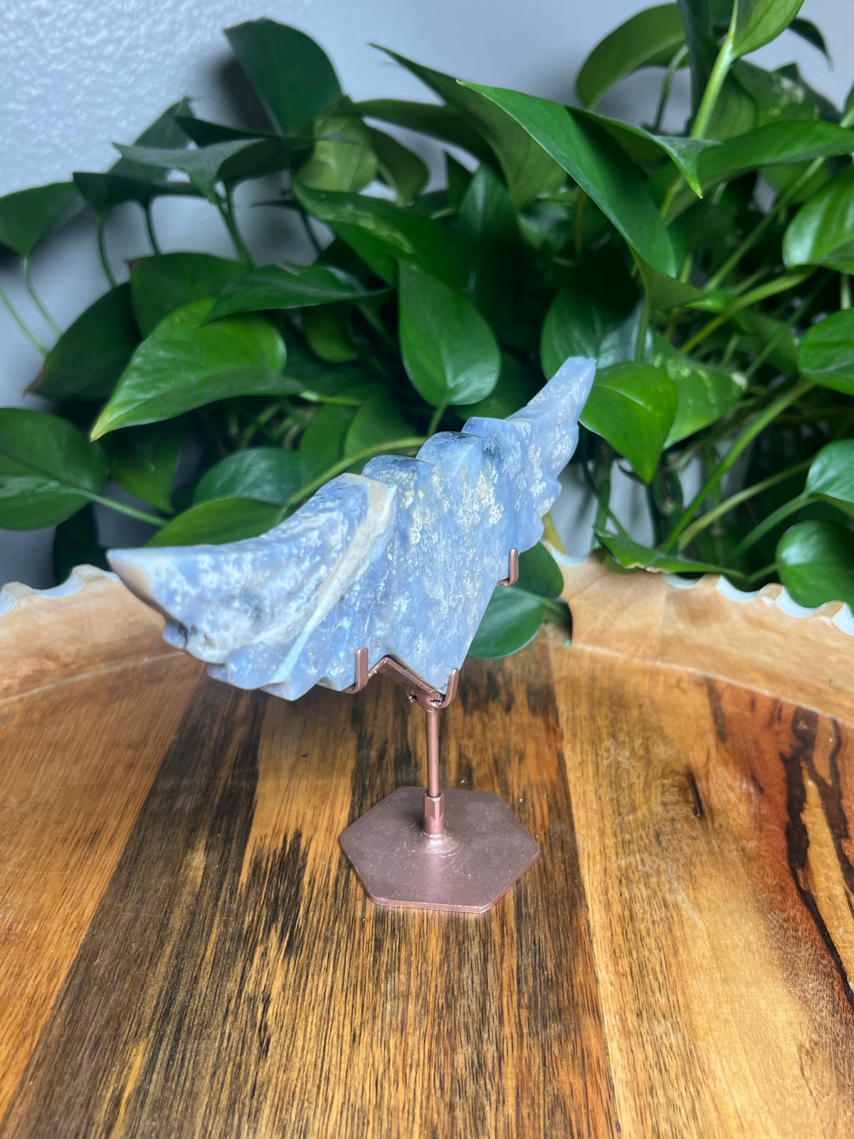 Blue Plume Agate Wings: Di