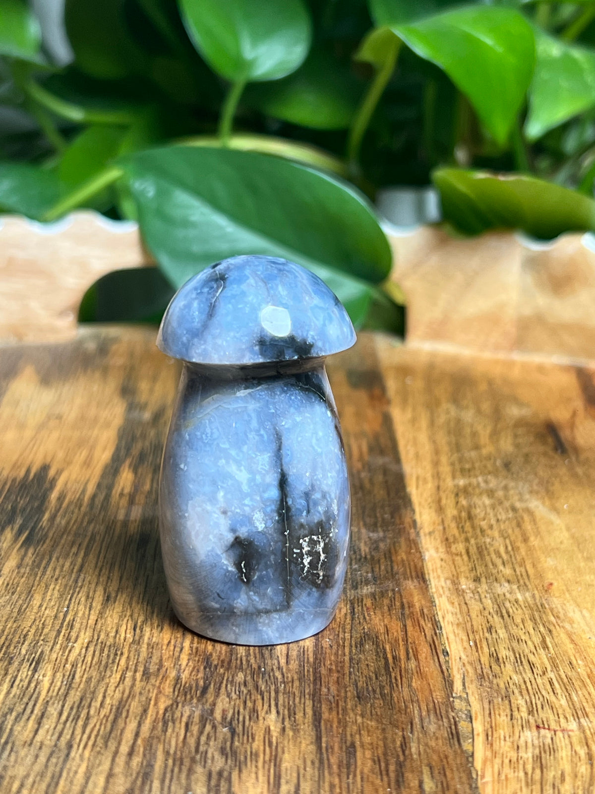 Blue Plume Agate Mushroom: A