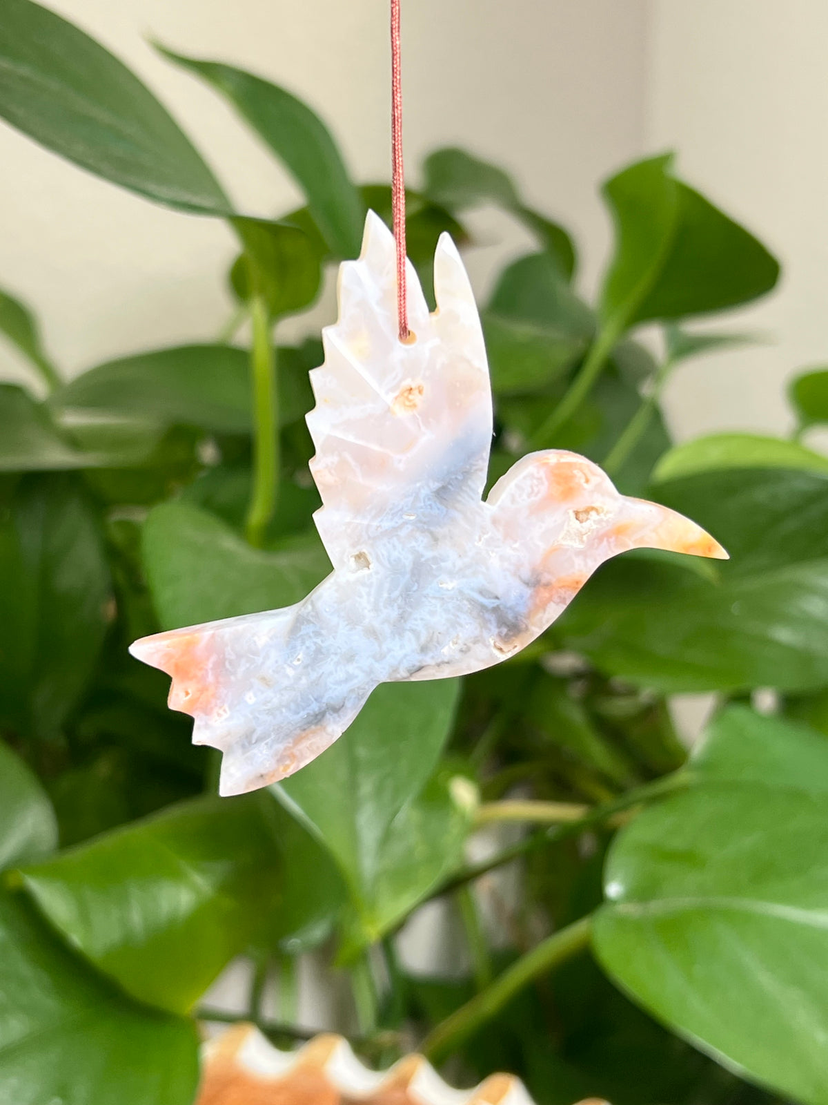 Rainbow Plume Agate Hummingbird: LA