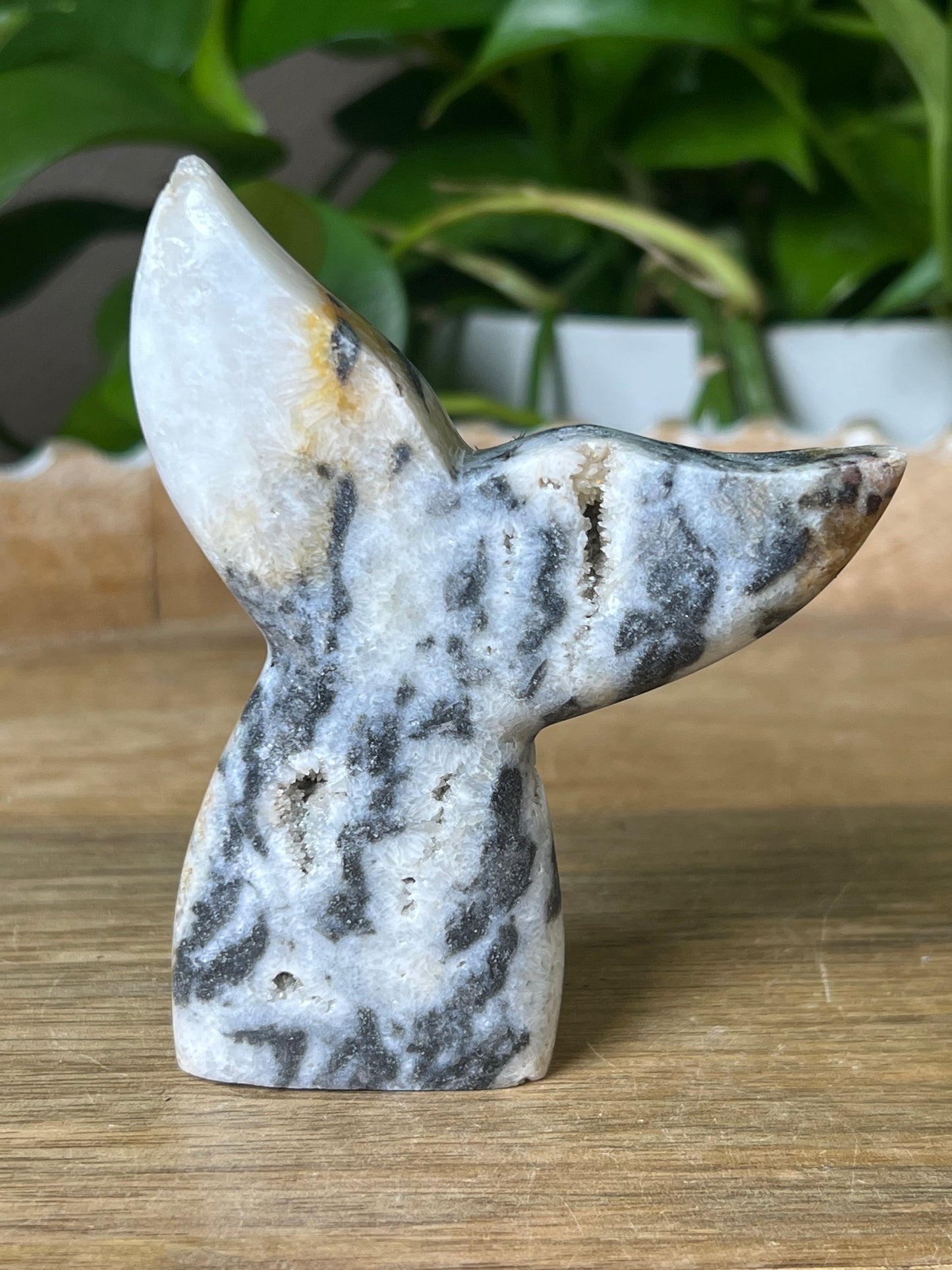 Sphalerite Tail