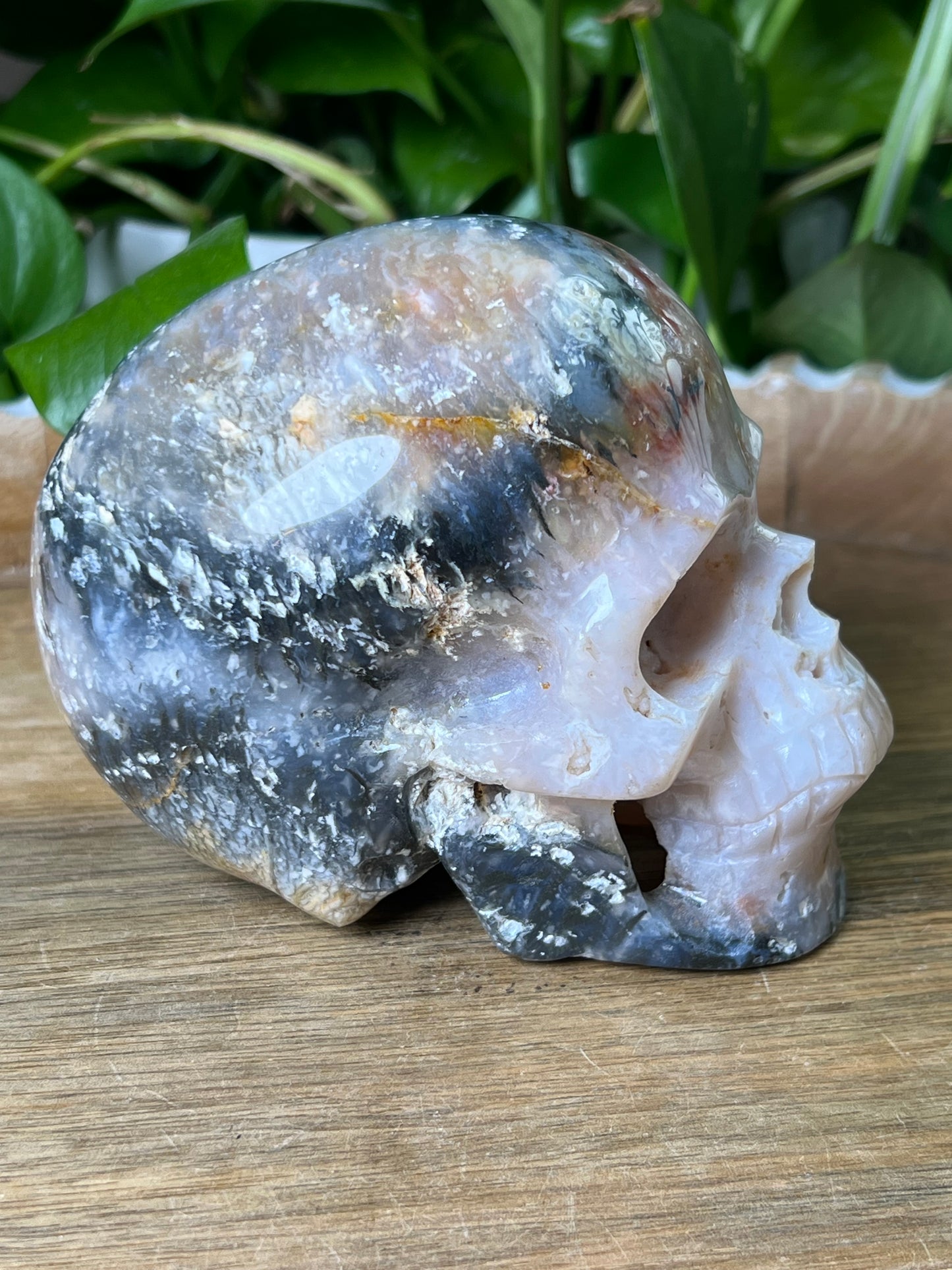 Rainbow Plume Agate Skull