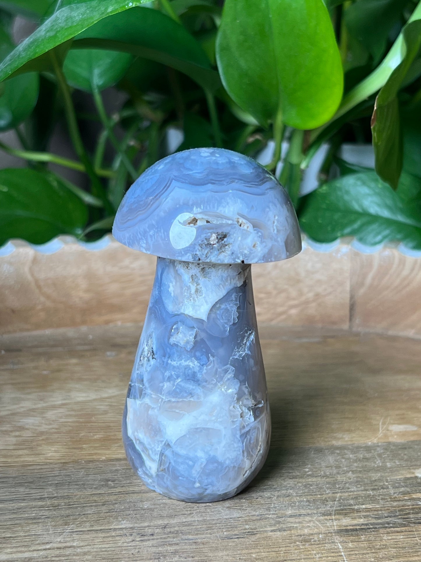 Blue Grey Lace Agate Mushroom: AB