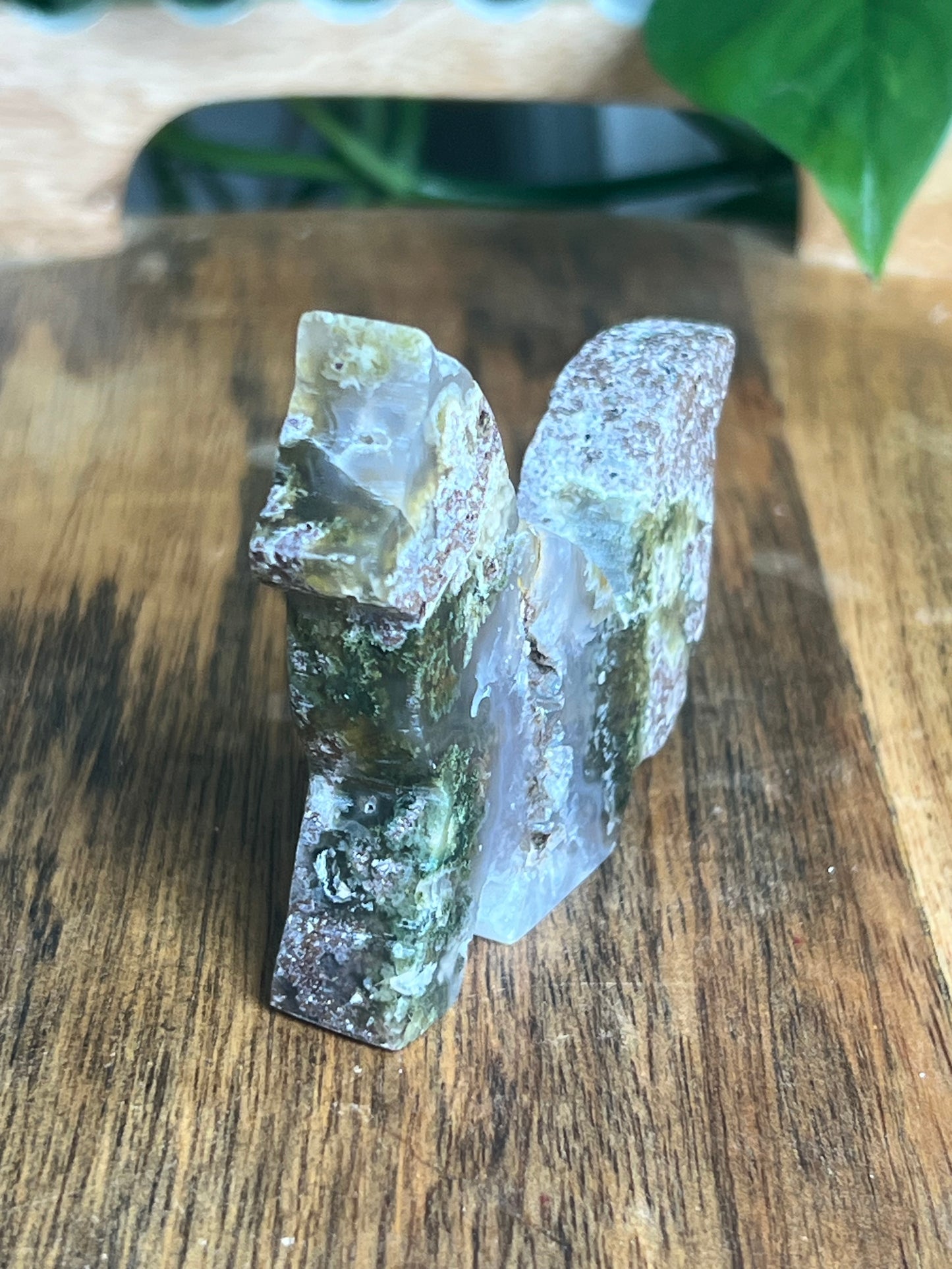 Scenic Moss Agate Fox PE