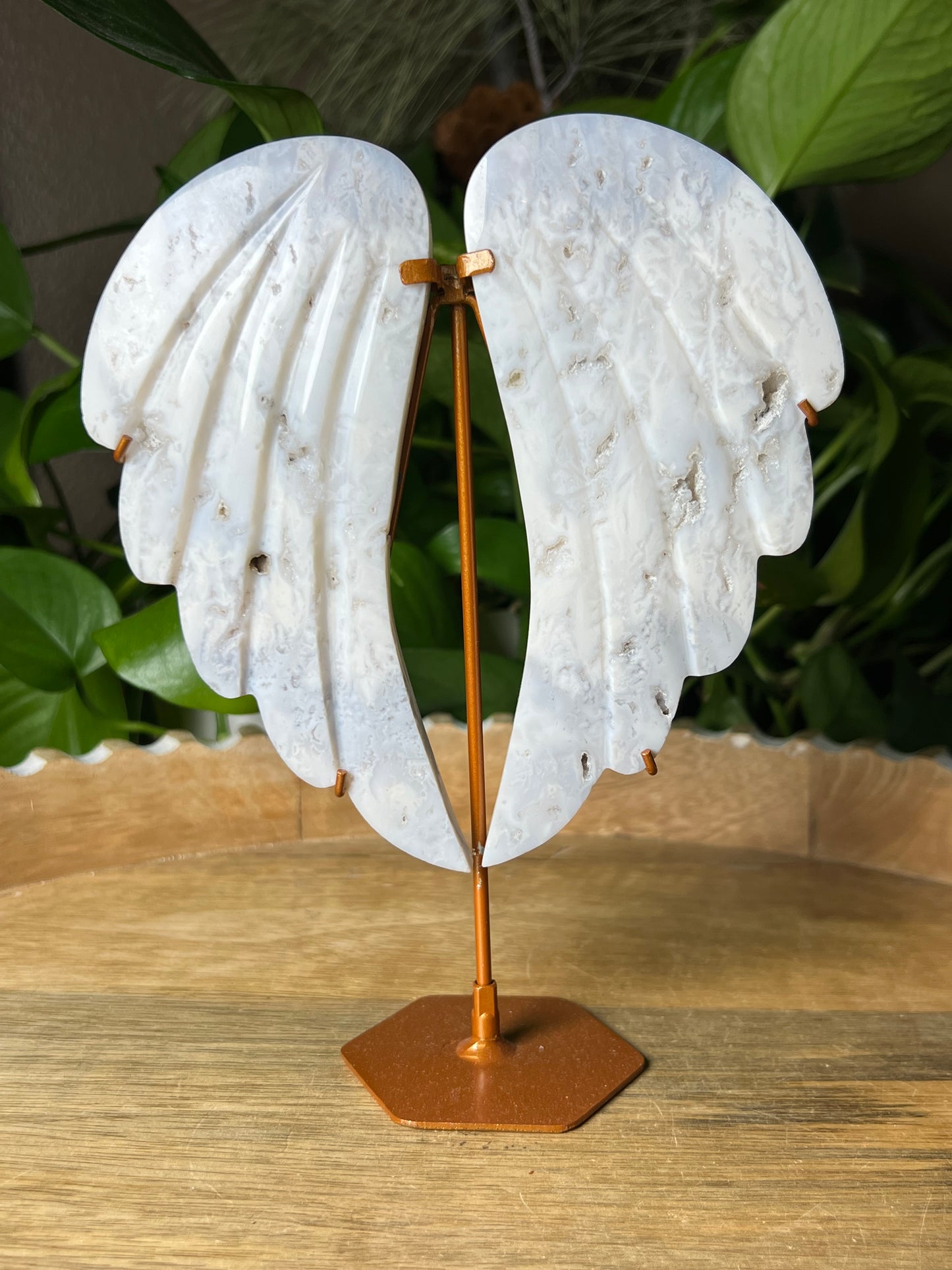 White Plume Agate Wings