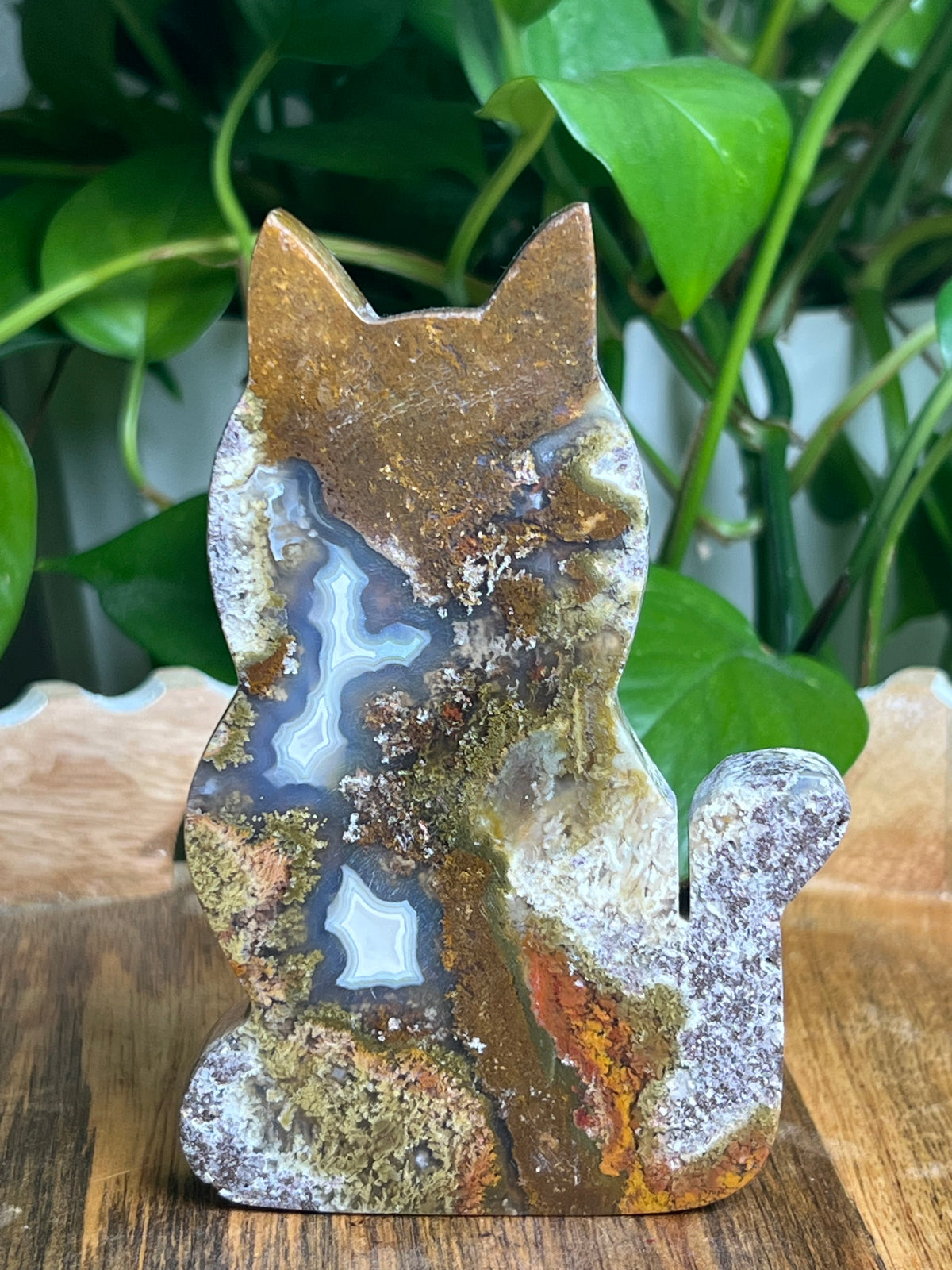 Scenic Moss Agate Cat: AC