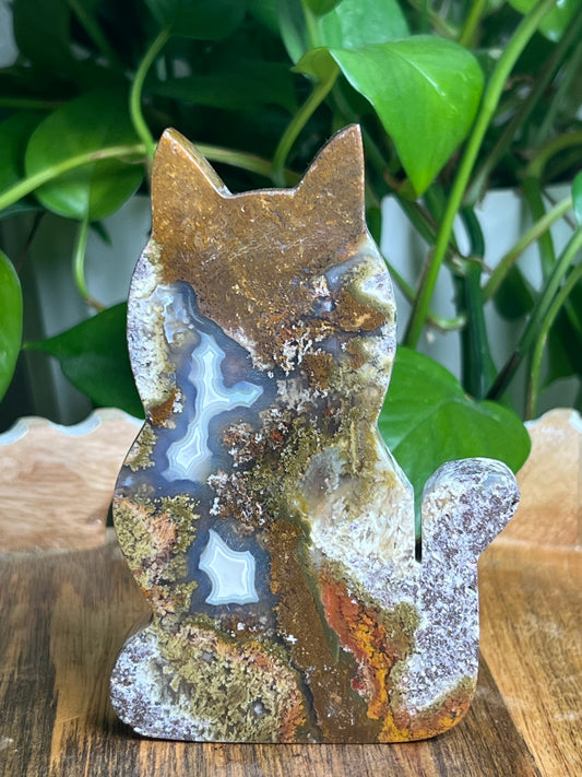Scenic Moss Agate Cat: AC