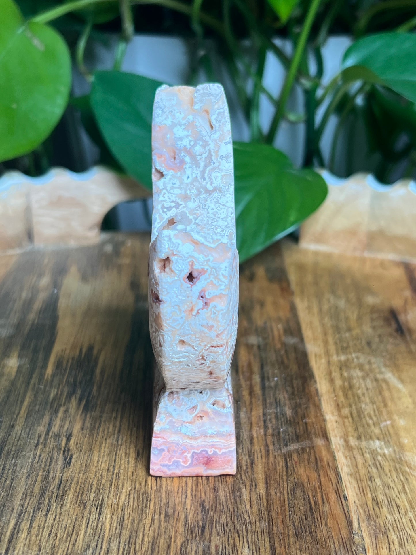 Crazy Lace Agate Self-Standing Moon: T