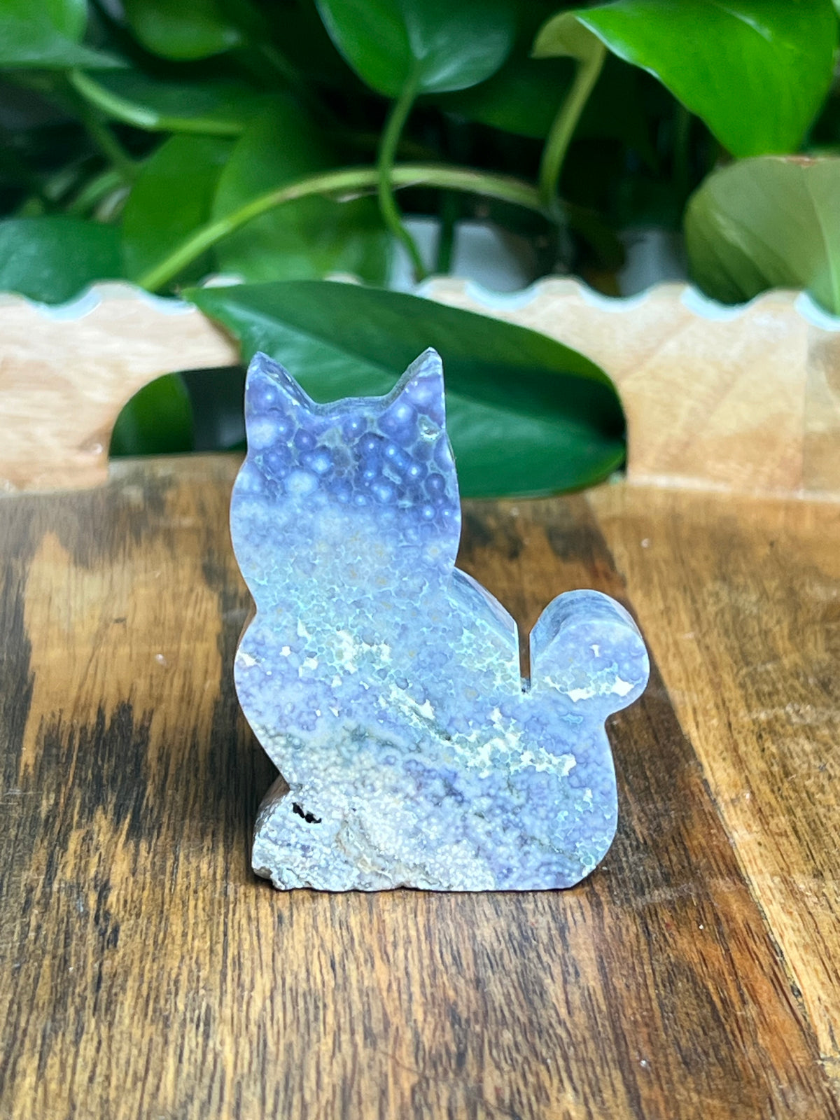 Grape Agate Mini Cat: BZ