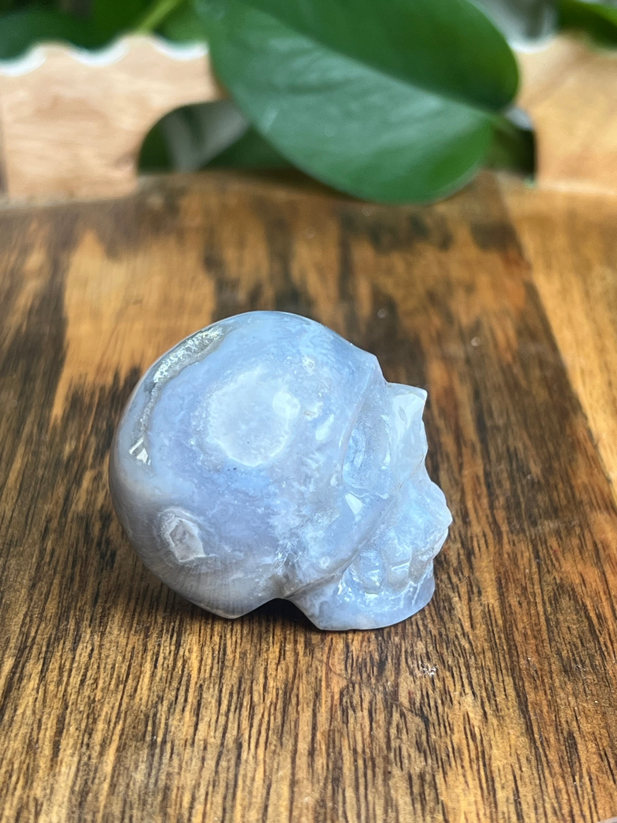 Blue Plume Agate Skull: G