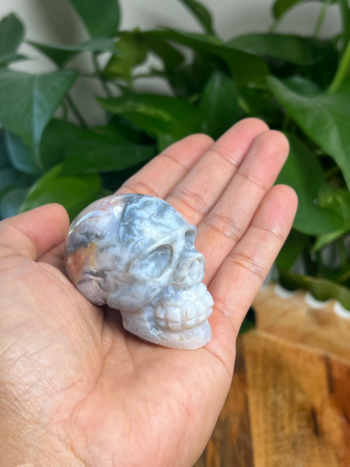 Rainbow Plume Agate Mini Skull: DA