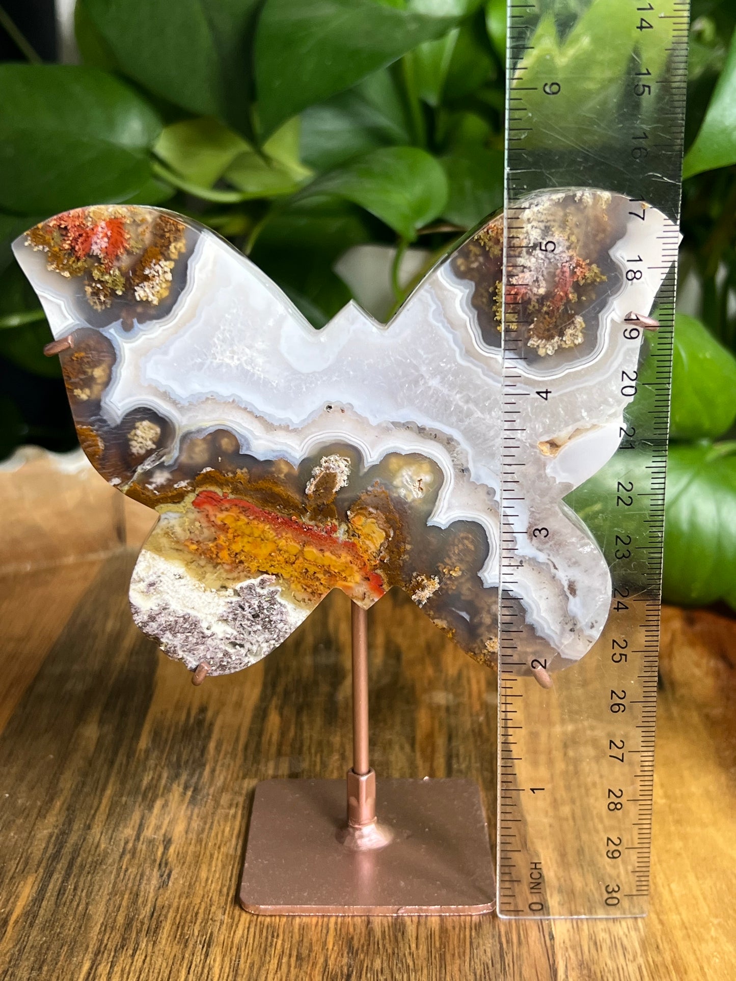Scenic Moss Agate Butterfly