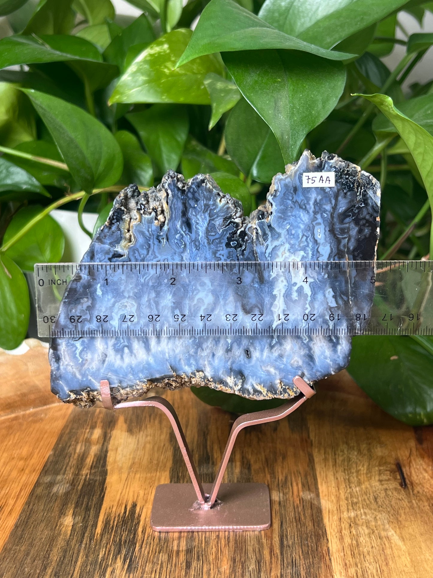 Blue Plume Agate Slab