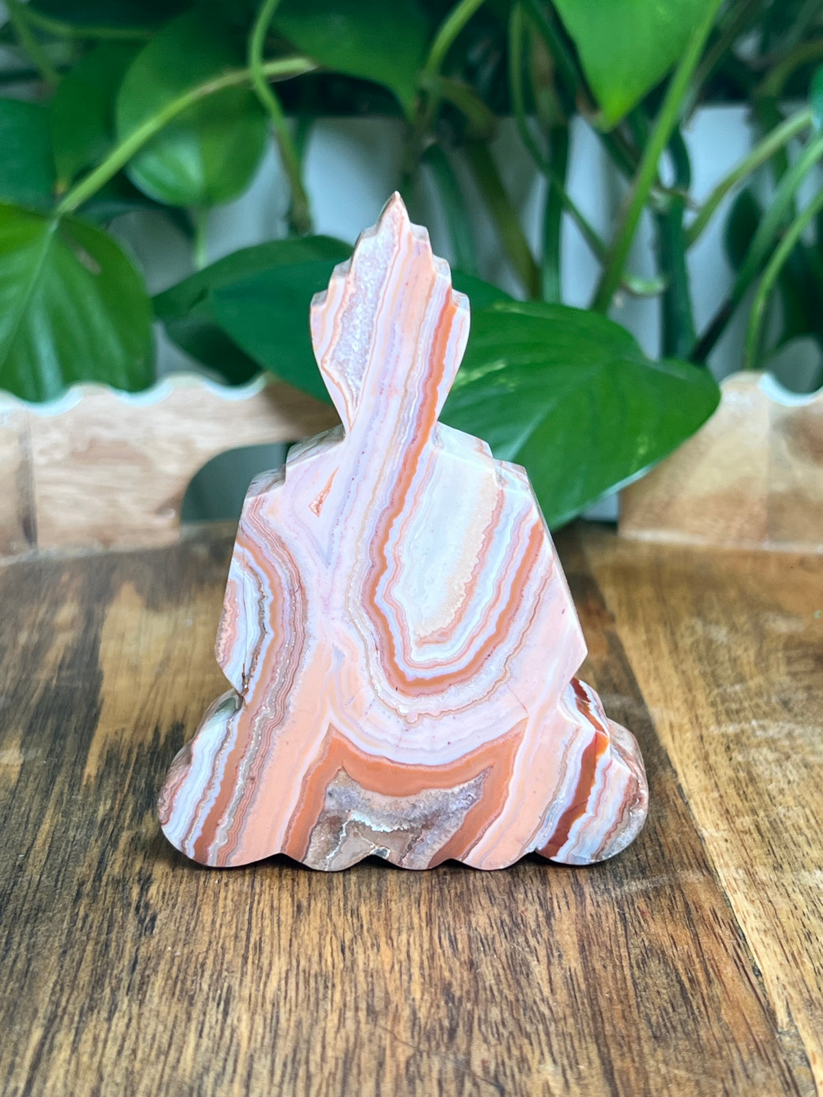 Crazy Lace Agate Buddha: D